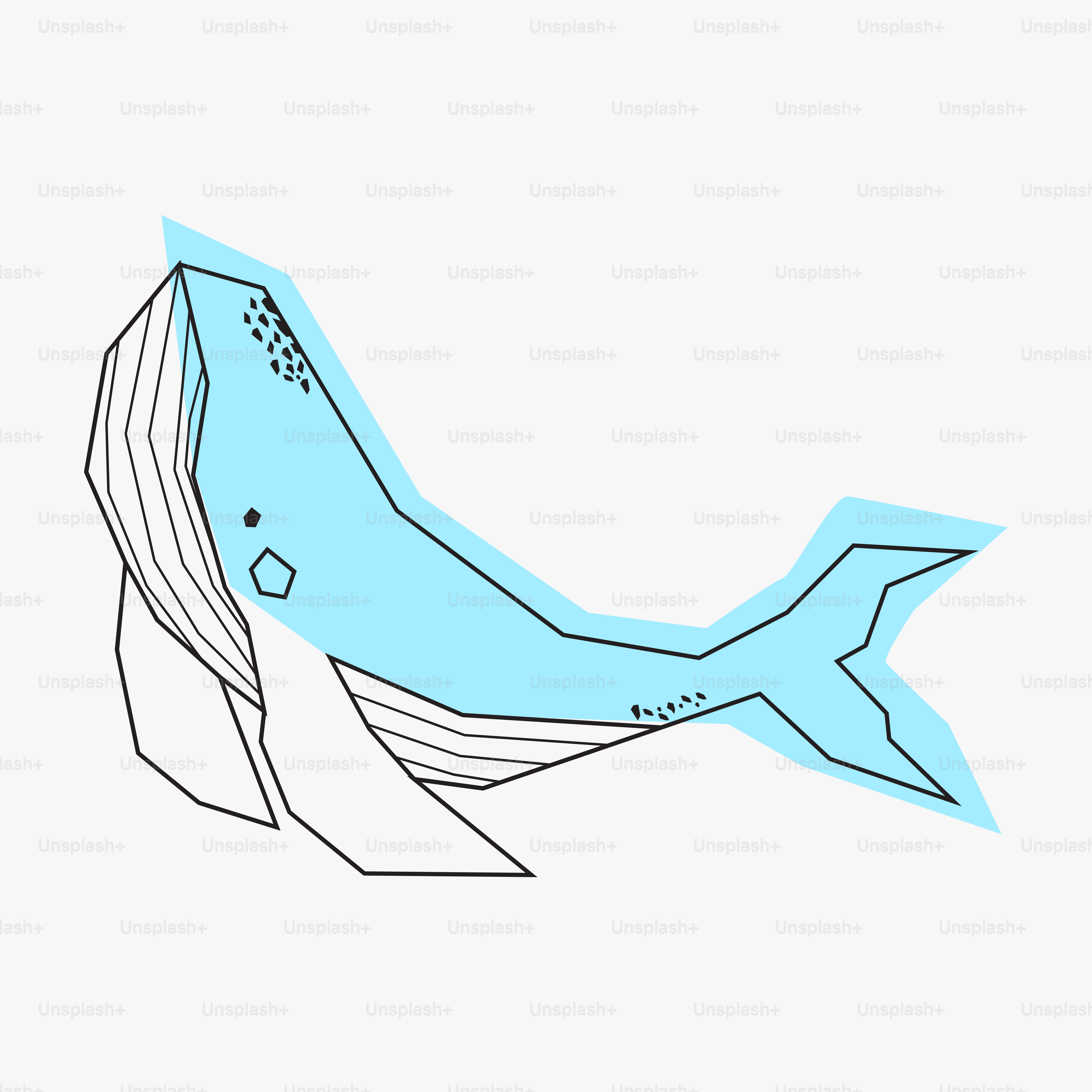 Un dibujo de una ballena sobre fondo blanco