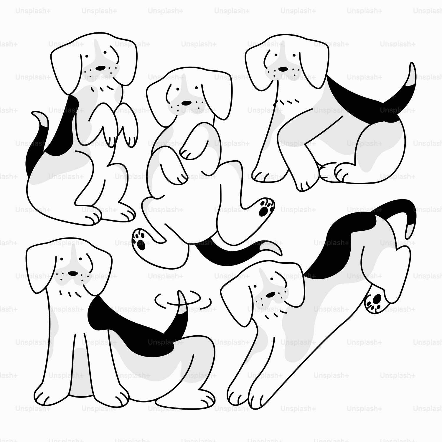 A group of dogs sitting next to each other