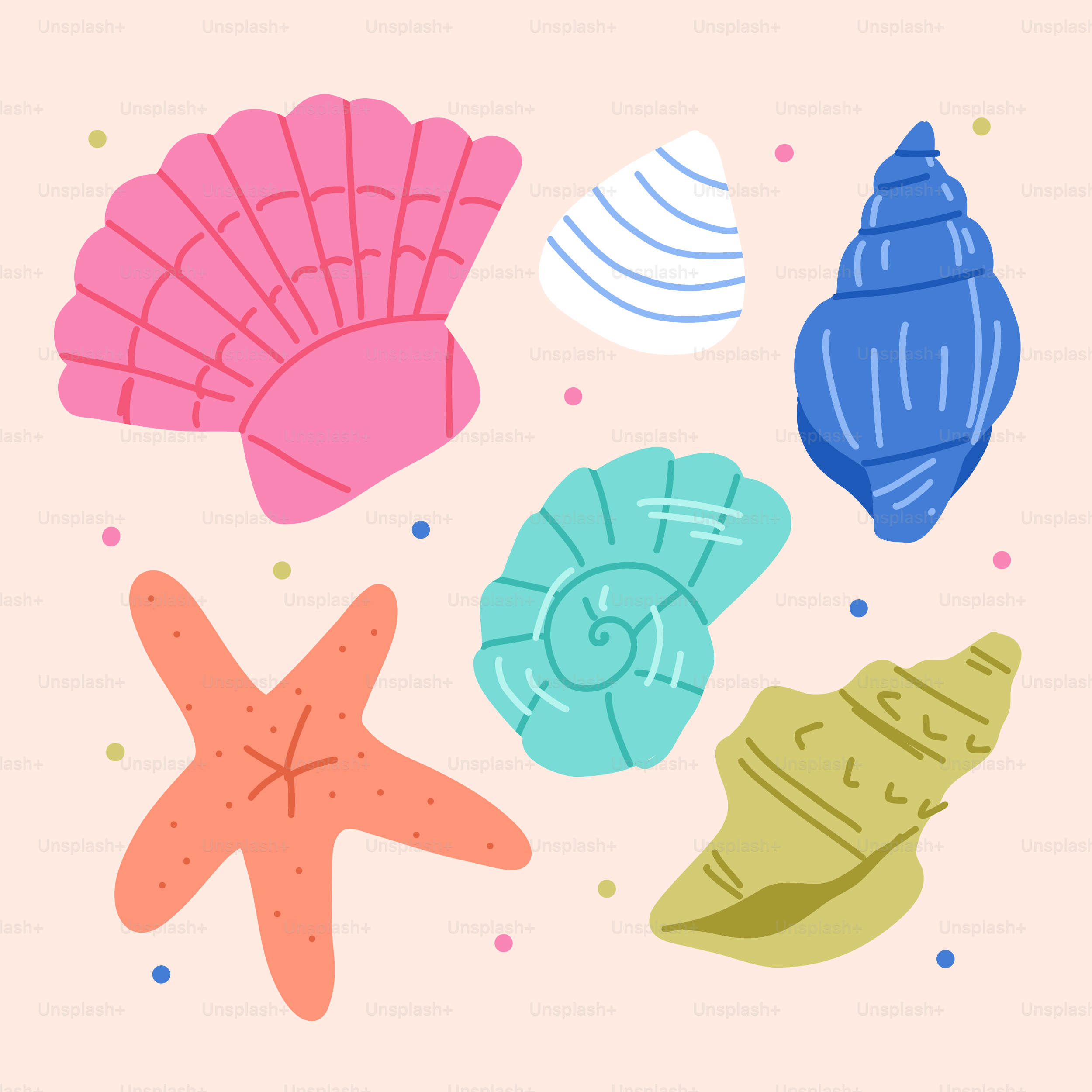 A picture of a bunch of seashells on a pink background