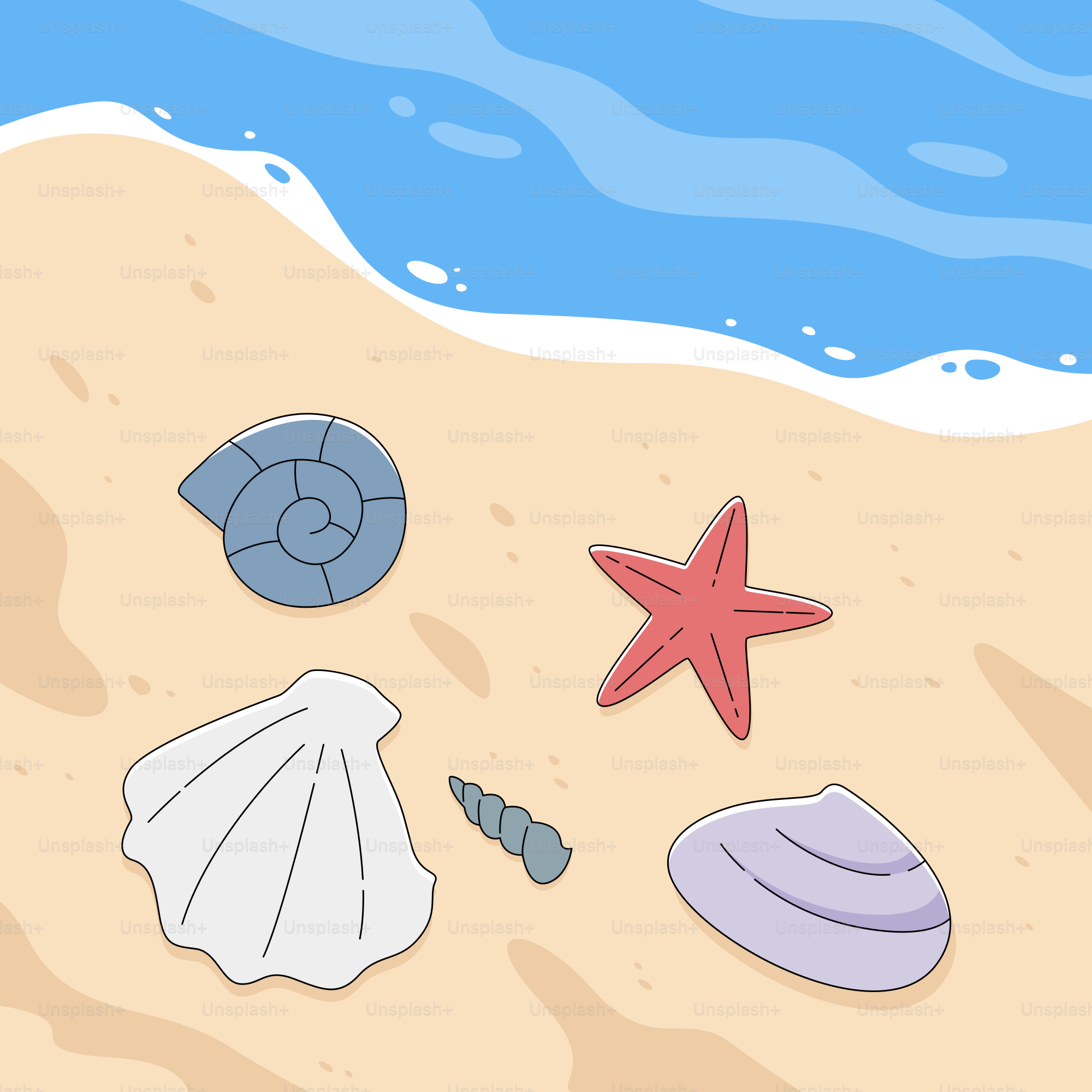A beach scene with shells and starfish