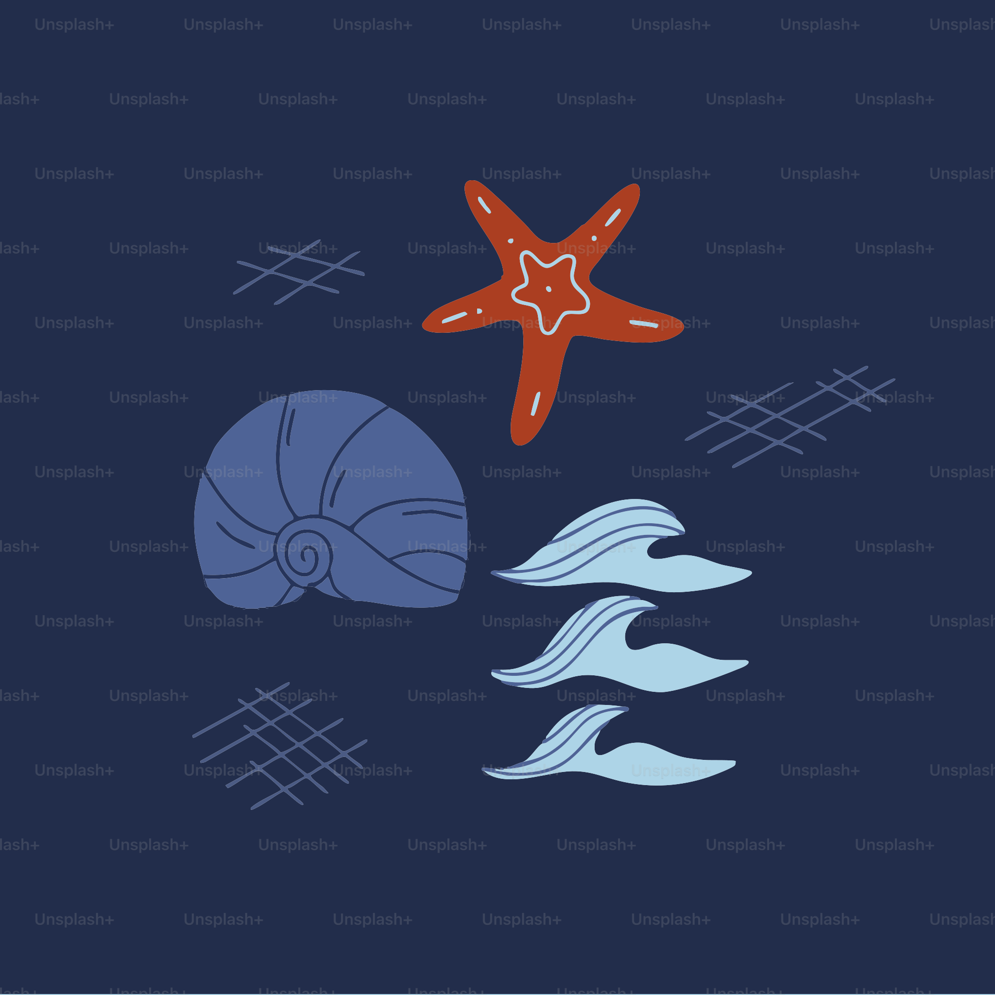 A picture of a starfish and a seashell