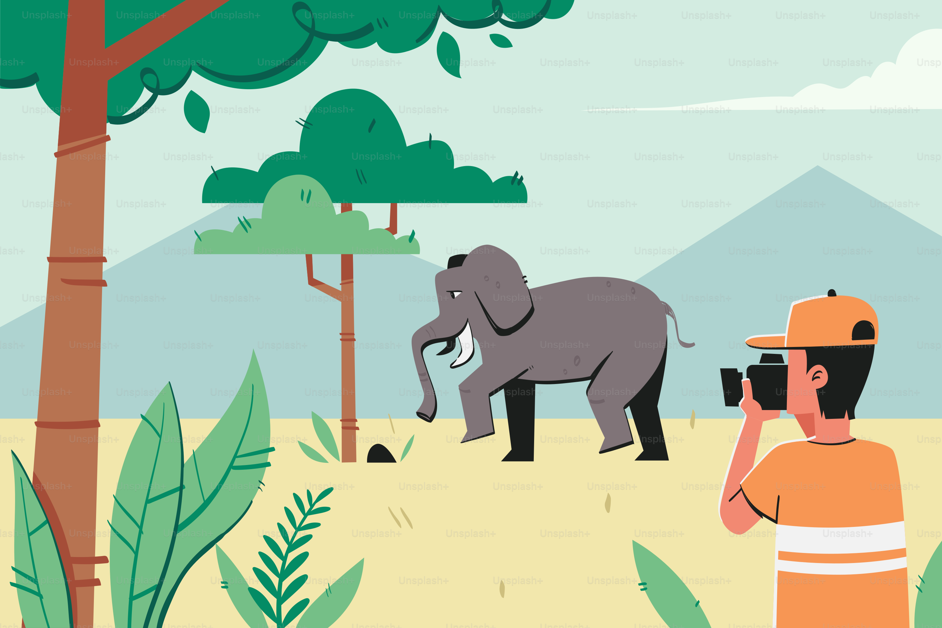 Ein Mann macht ein Foto von einem Elefanten