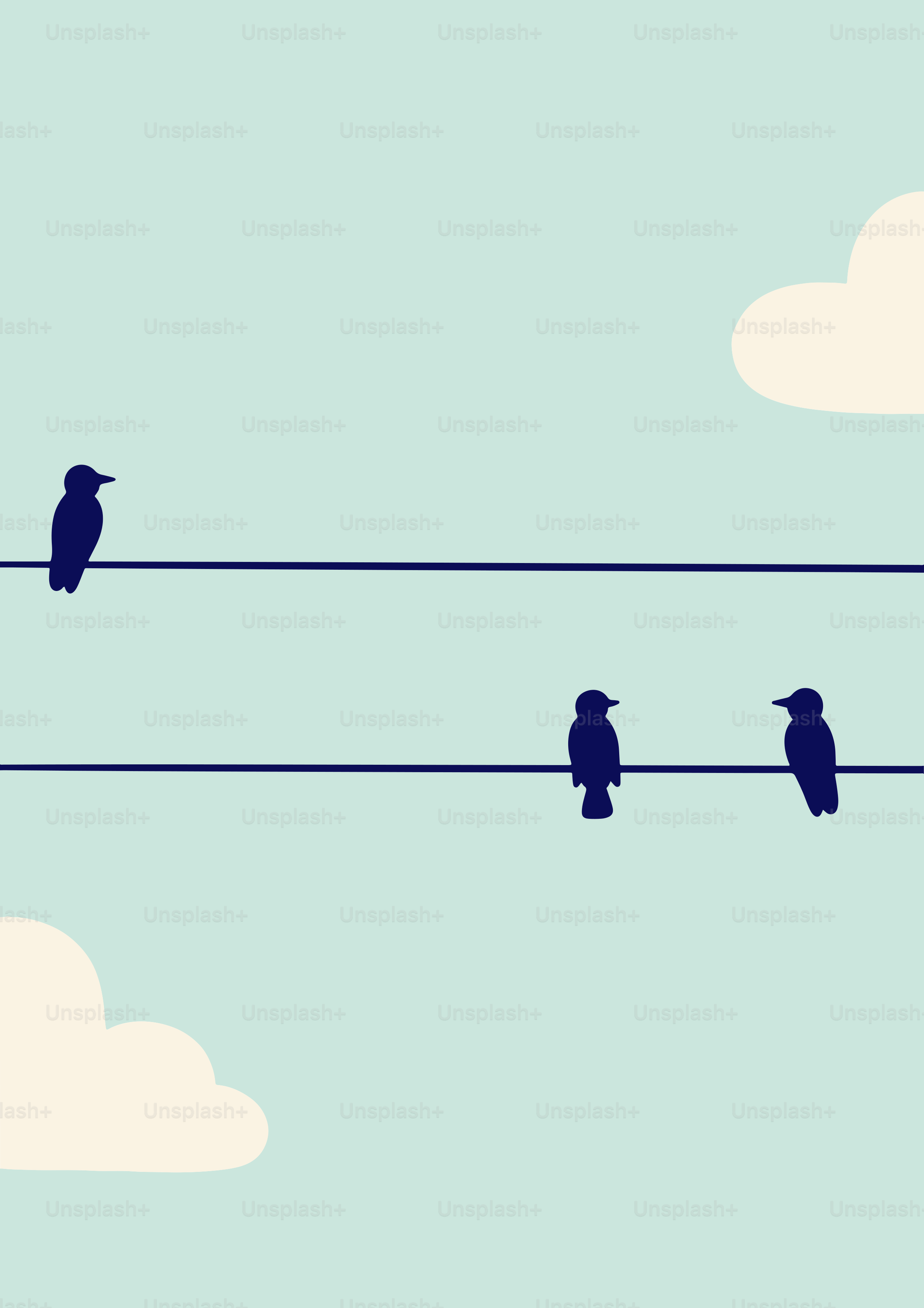 A couple of birds sitting on top of a power line