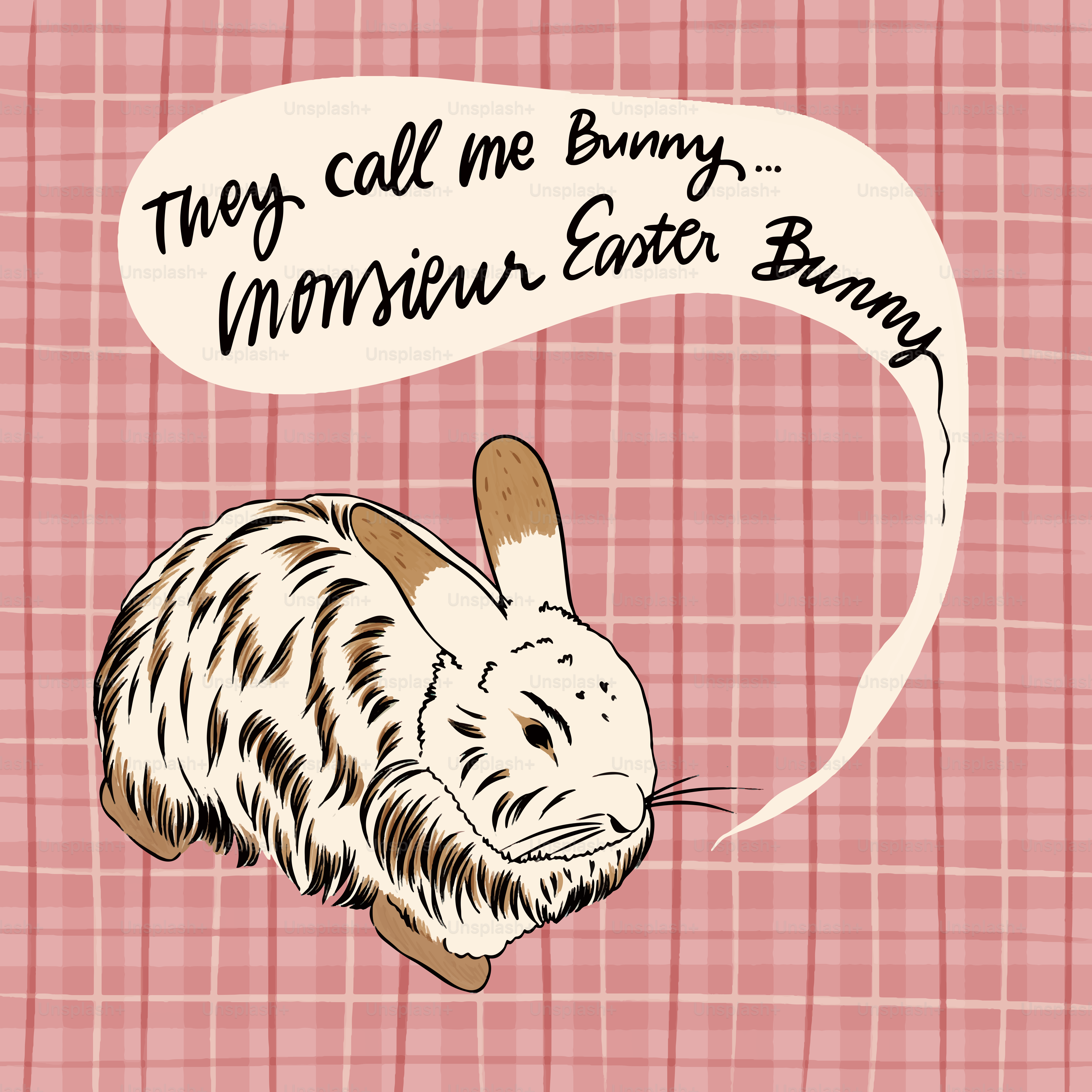 A rabbit with a speech bubble saying they call me bunny