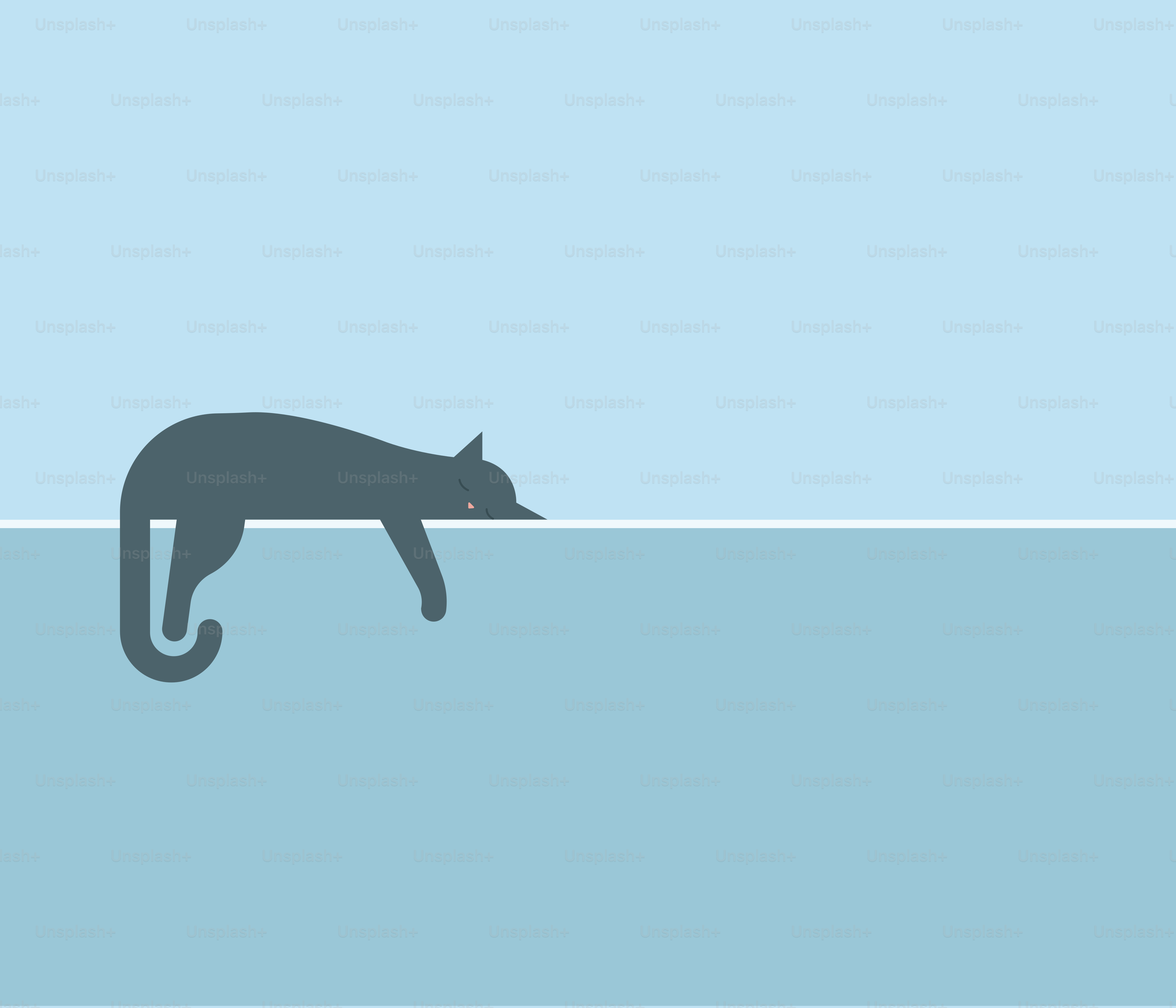 A cat walking across a body of water
