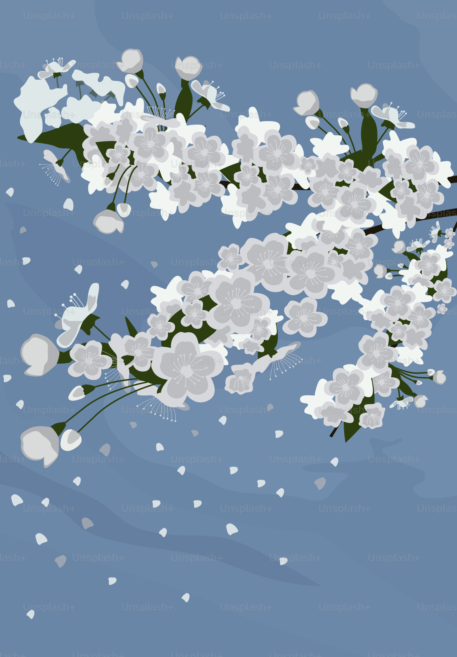 Ein Strauß weißer Blumen, die in der Luft schweben