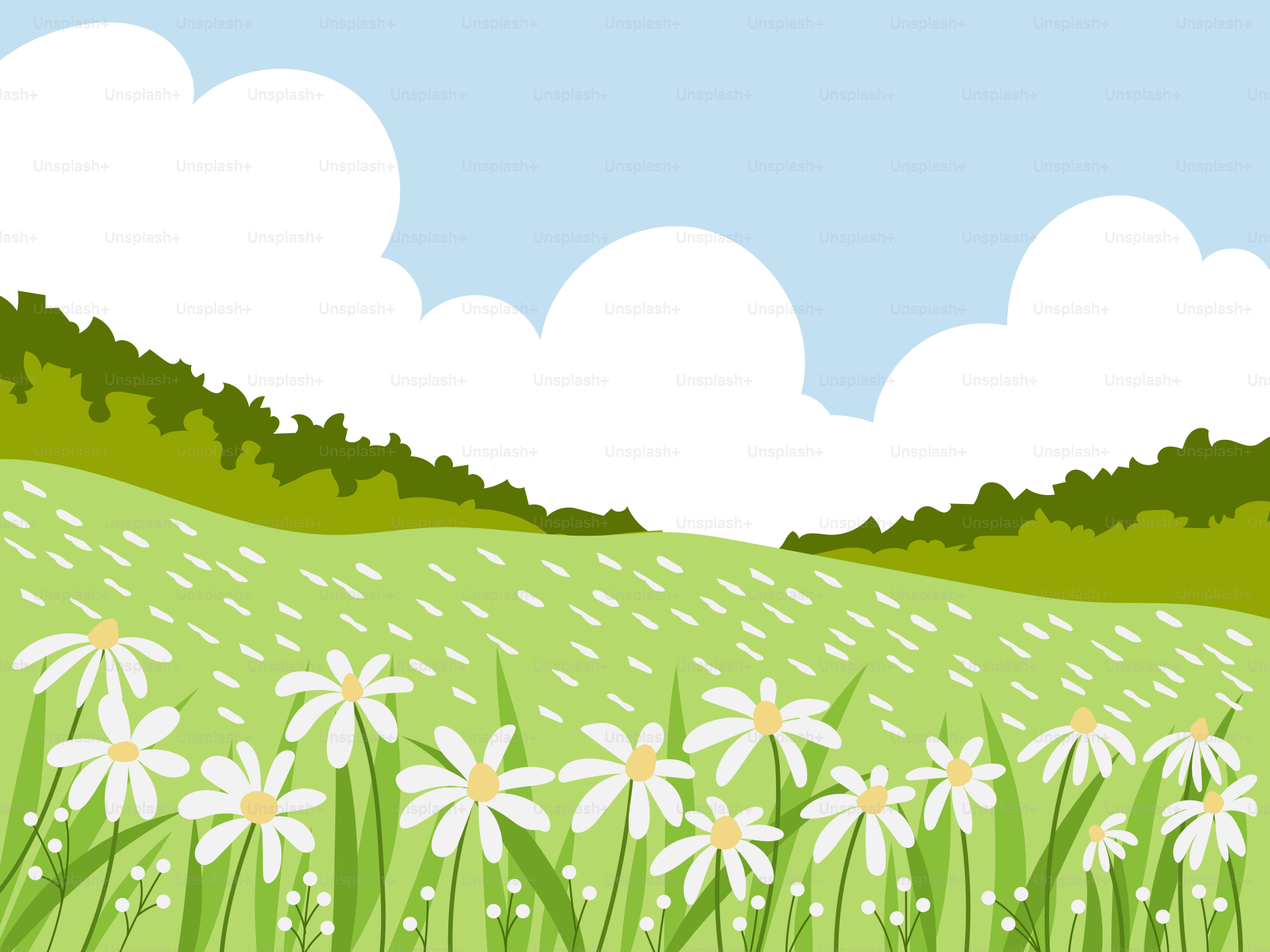 A green field with white daisies in the foreground