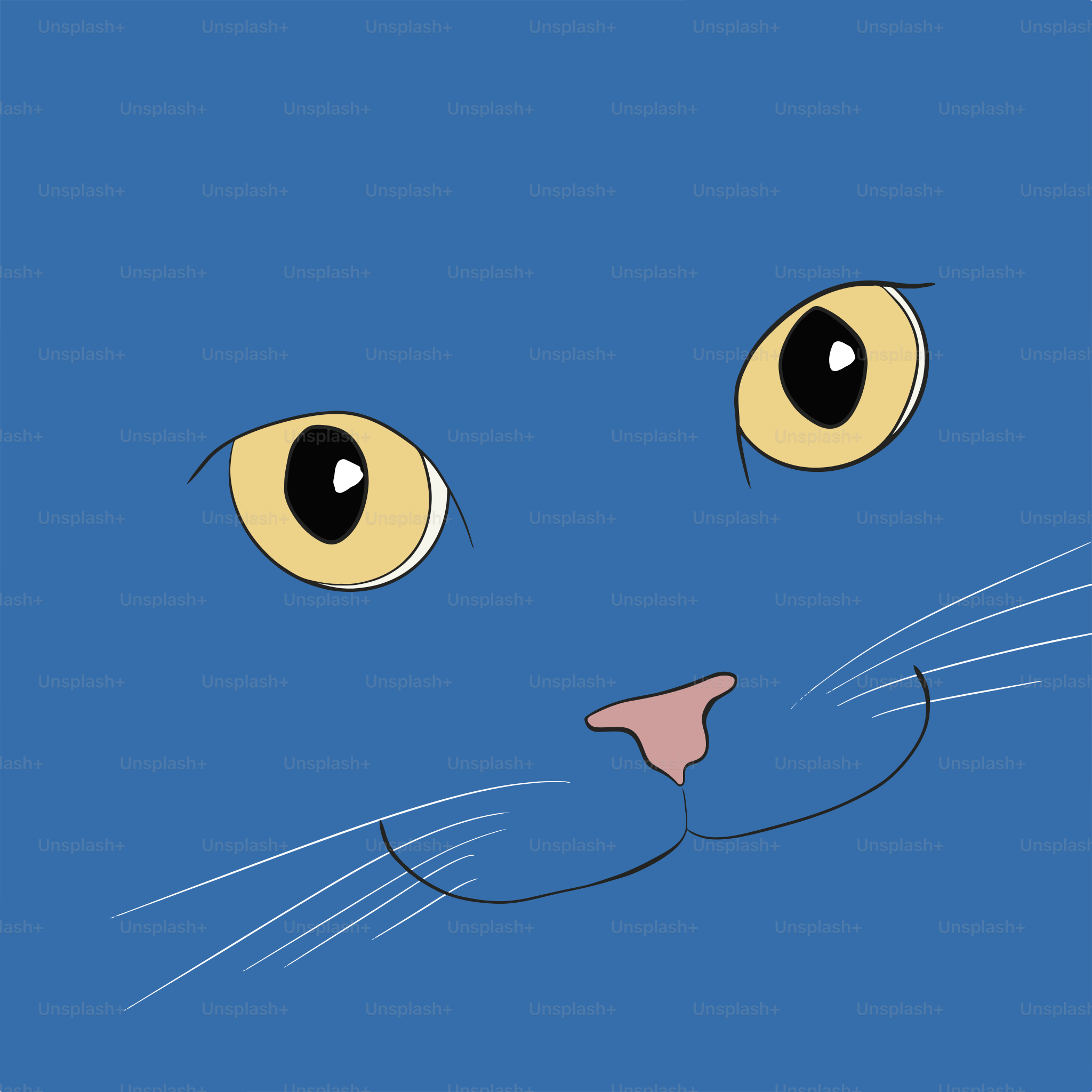 A close up of a cat's face on a blue background