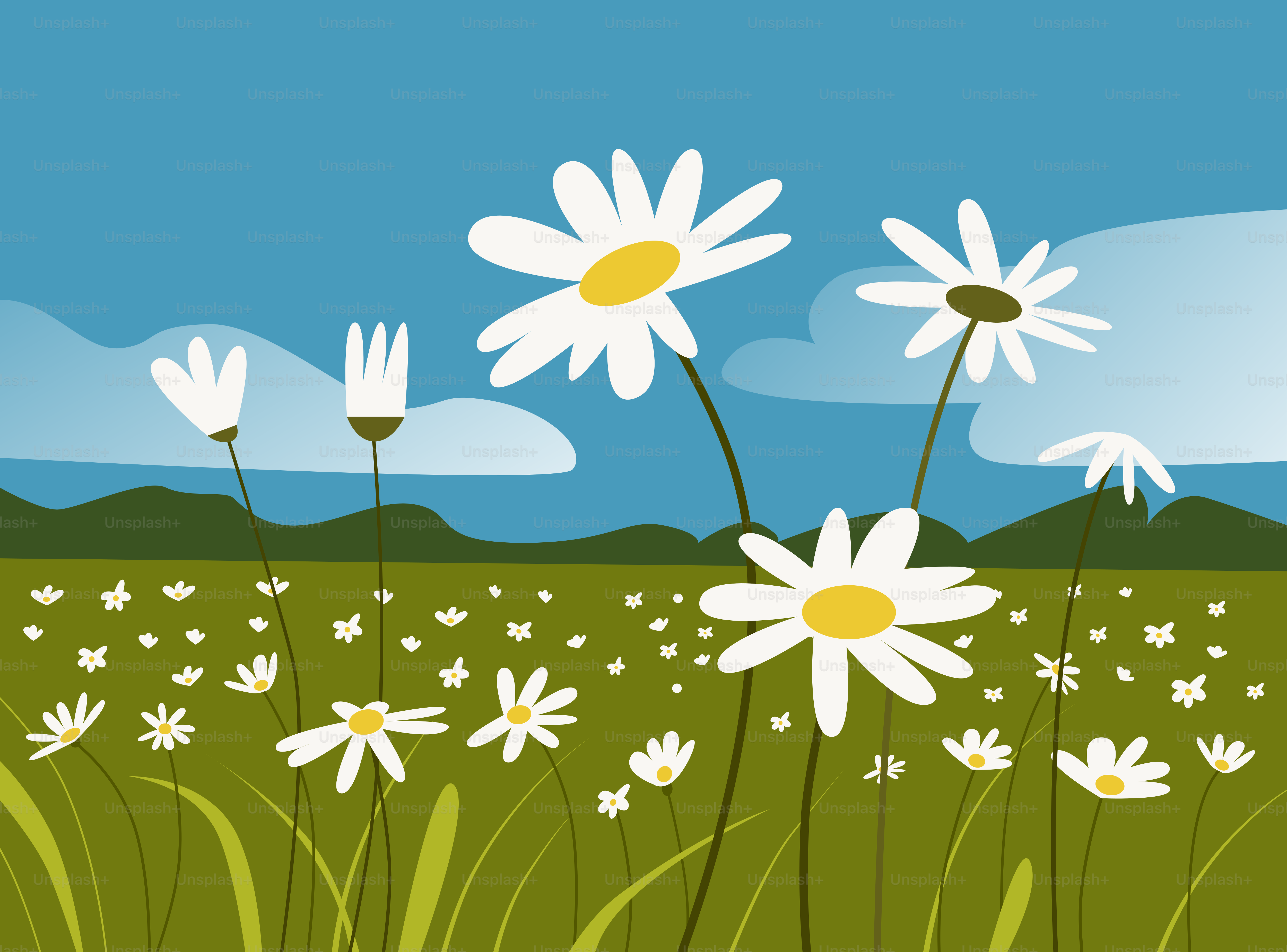 A field of daisies with mountains in the background
