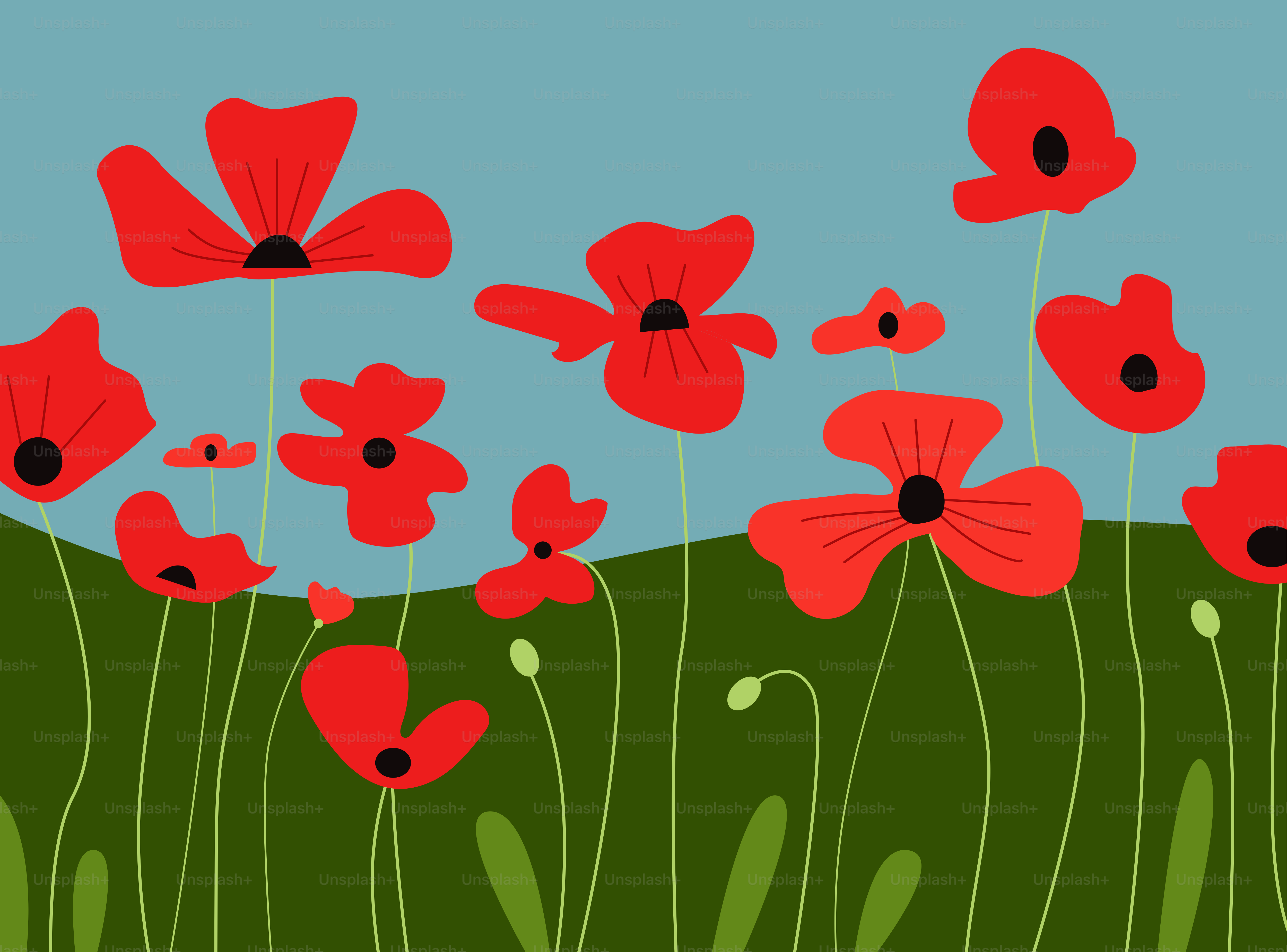 Un champ de fleurs rouges avec un ciel bleu en arrière-plan