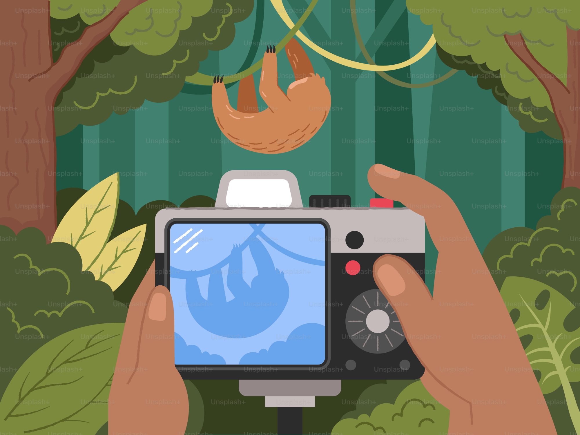 A person holding a camera in front of a forest