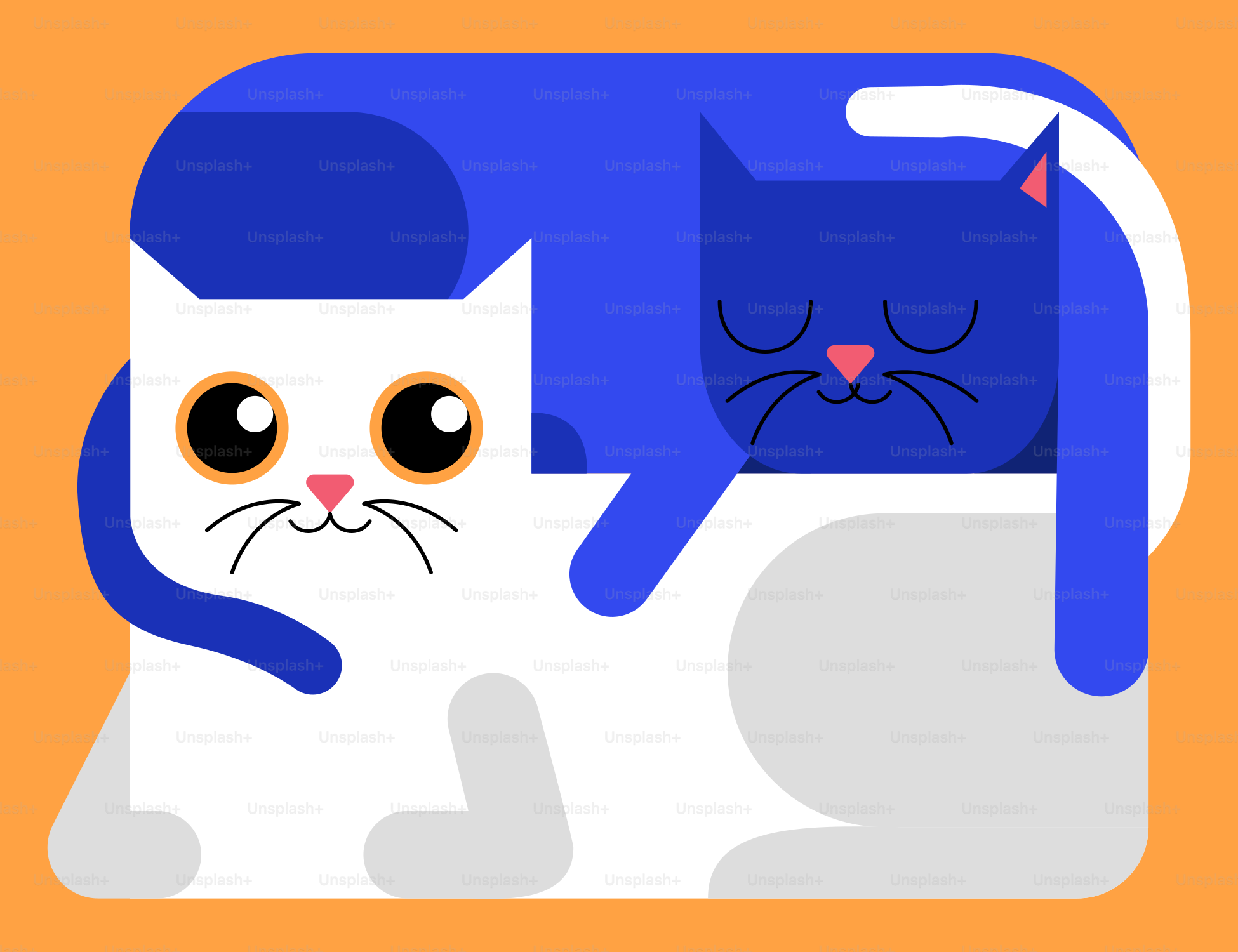 Un par de gatos sentados uno al lado del otro