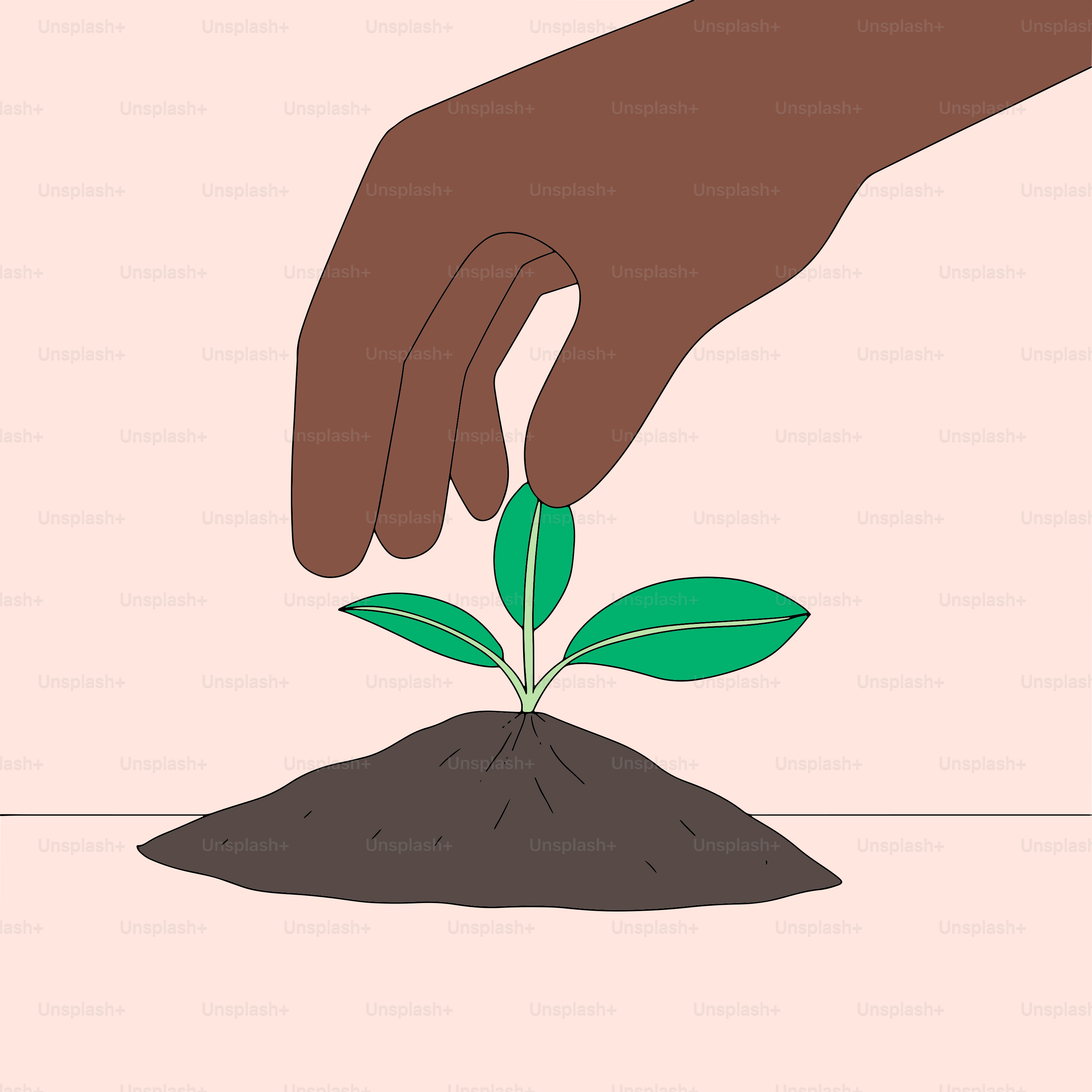 Eine Hand, die nach einer Pflanze greift, die aus dem Boden wächst