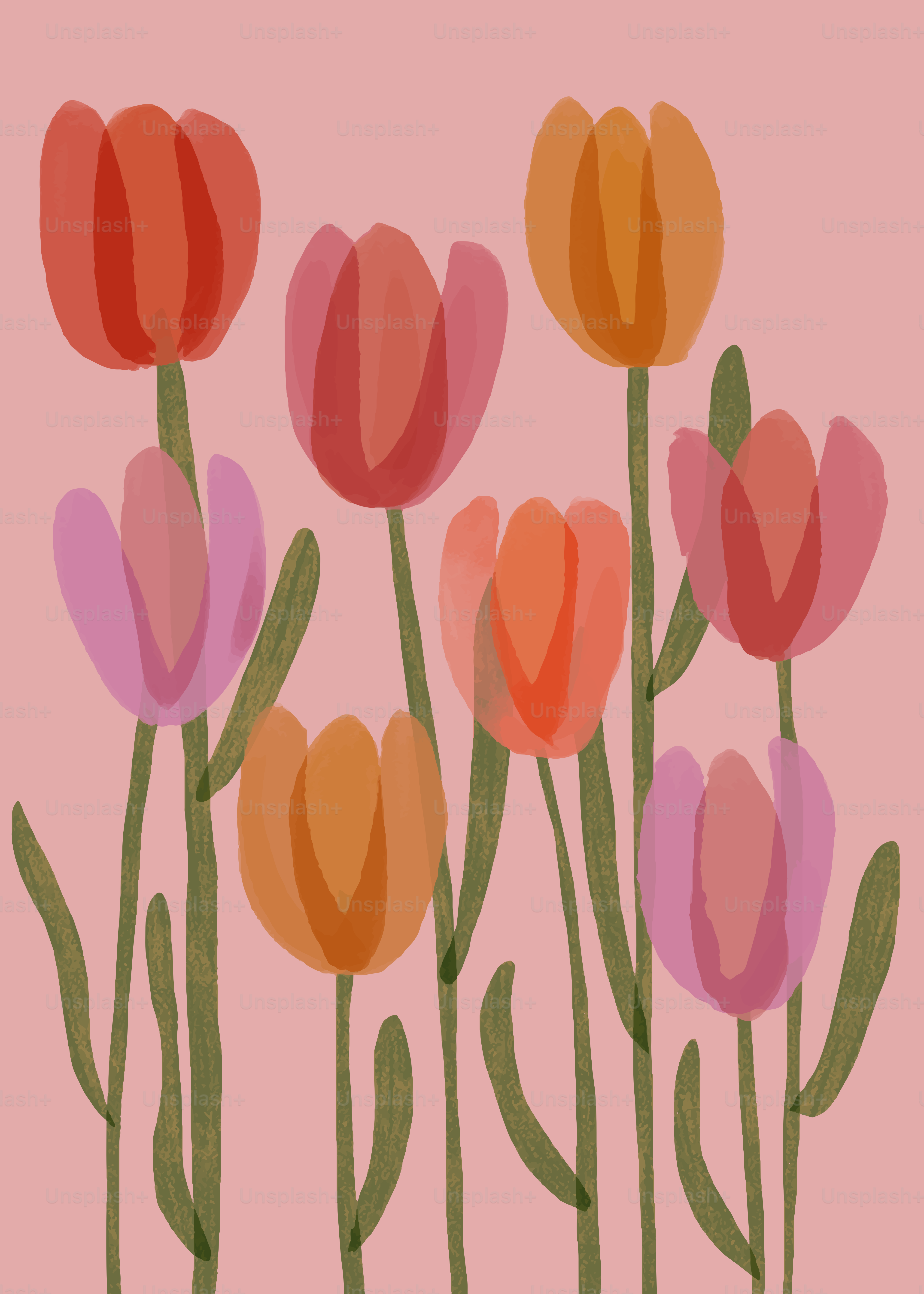 A bunch of flowers that are on a pink background vector – Wallpaper Image  on Unsplash, image size:3000x4200