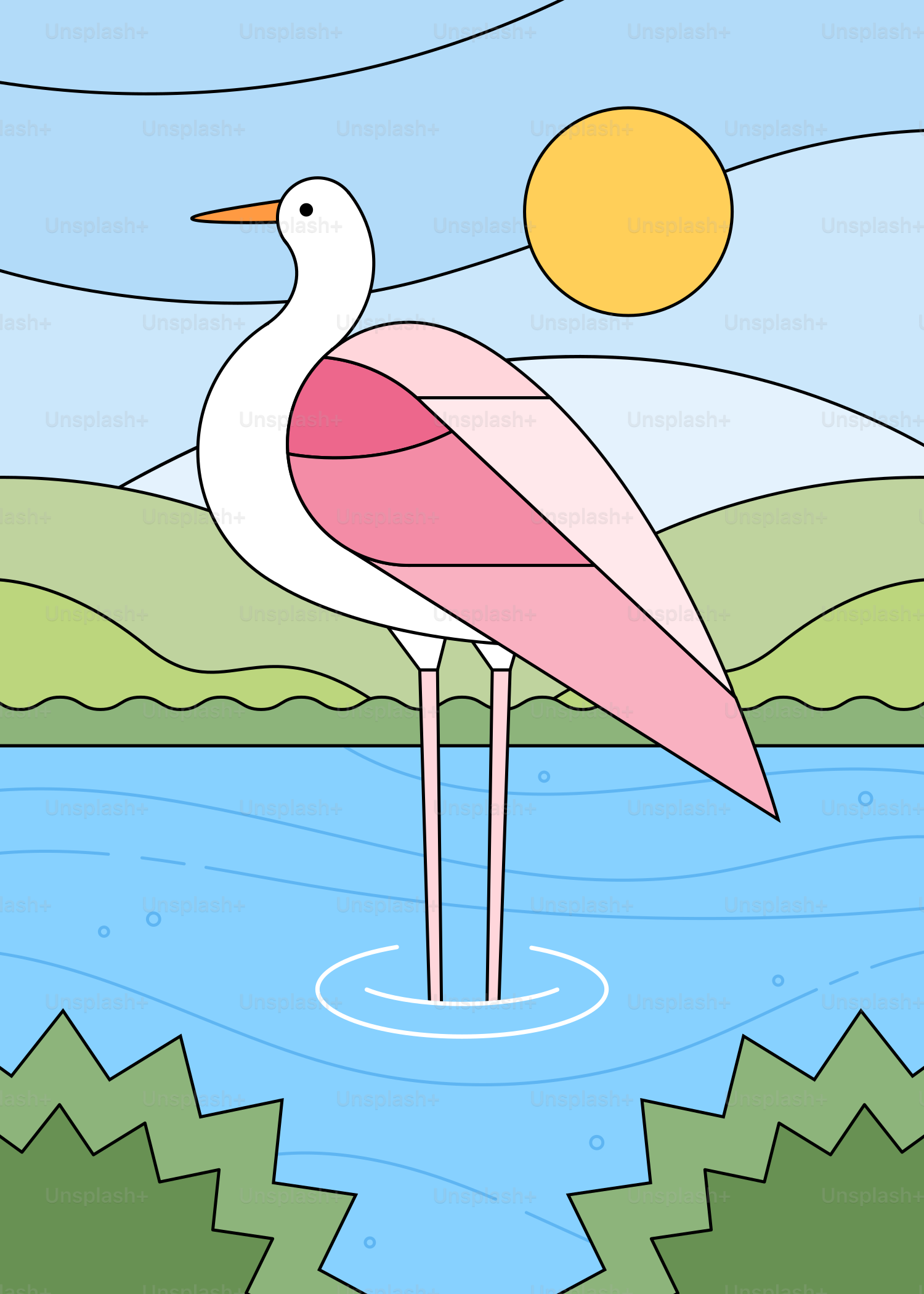 A pink and white bird standing in a body of water