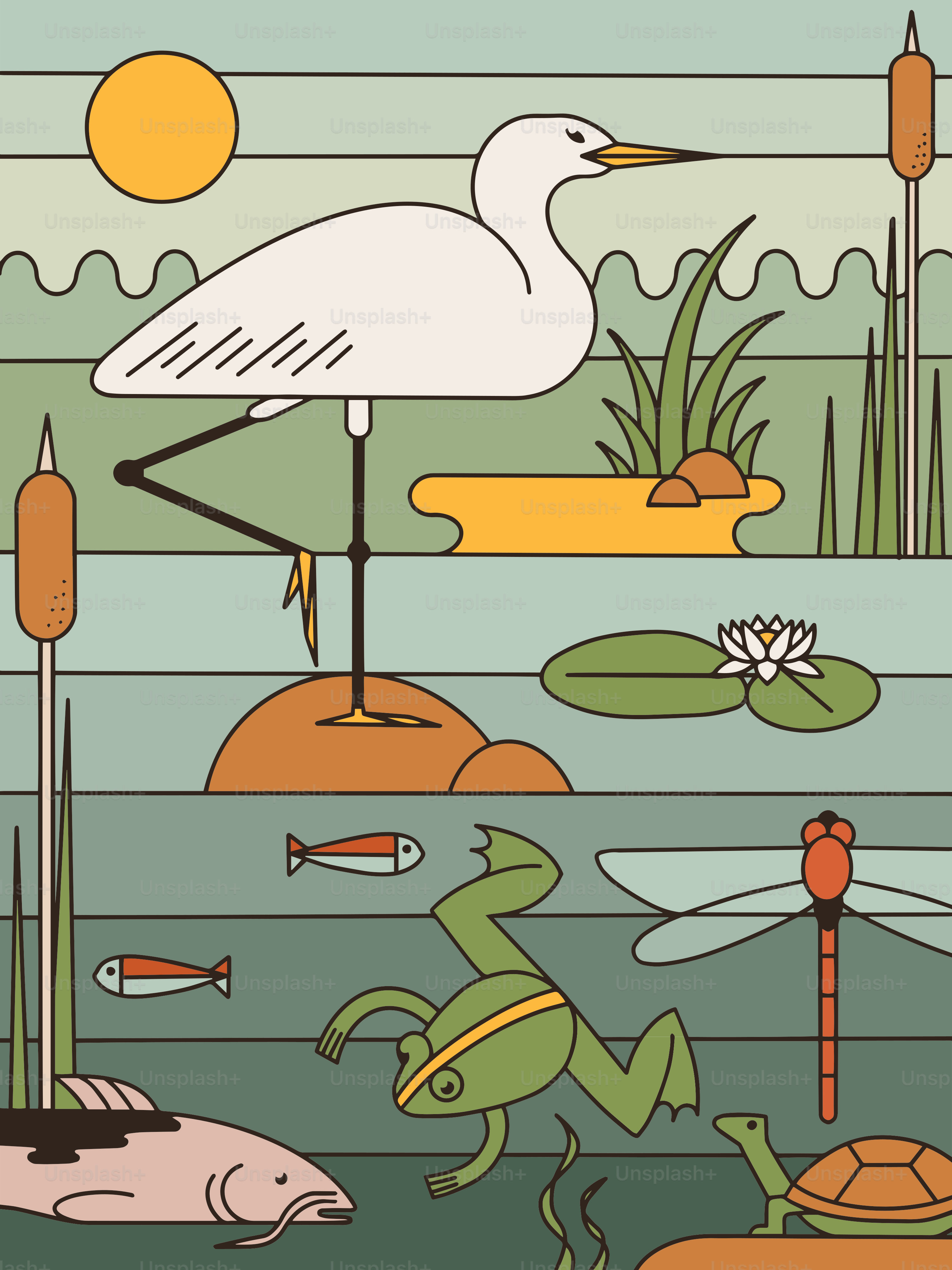 Ein Bild von einem Vogel und einigen Wasserpflanzen und Fischen