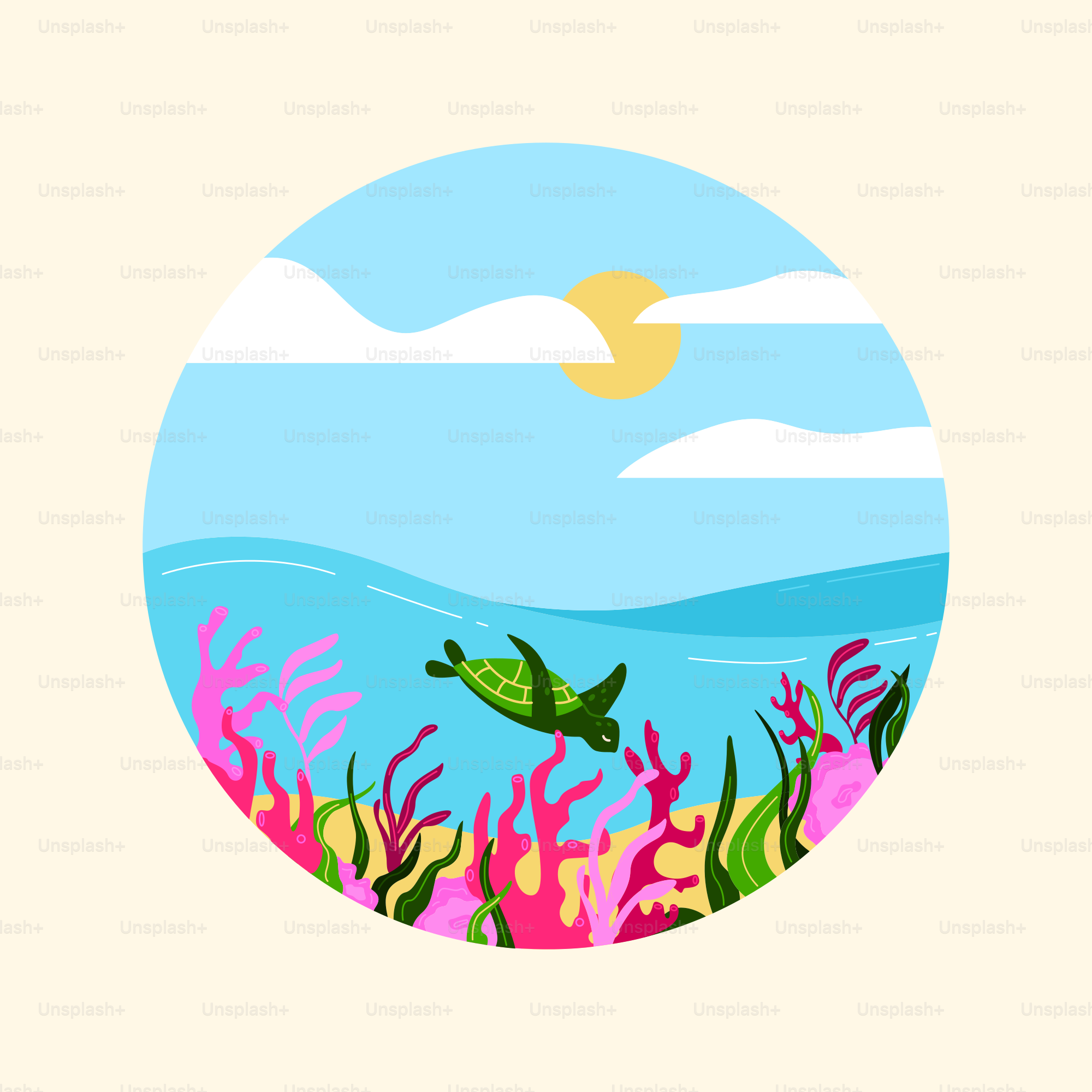 A picture of a turtle swimming in the ocean