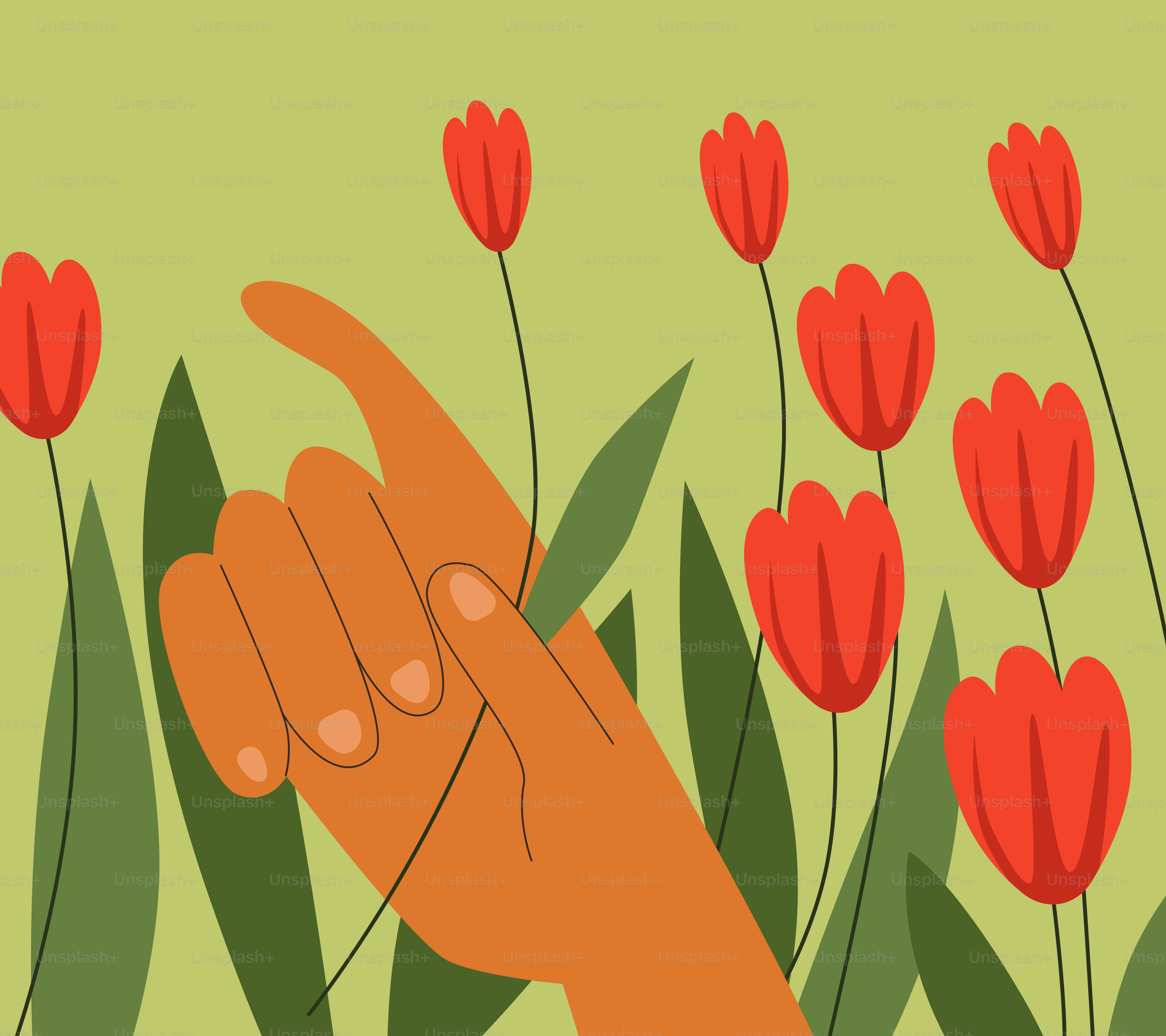 A hand pointing at a bunch of red flowers