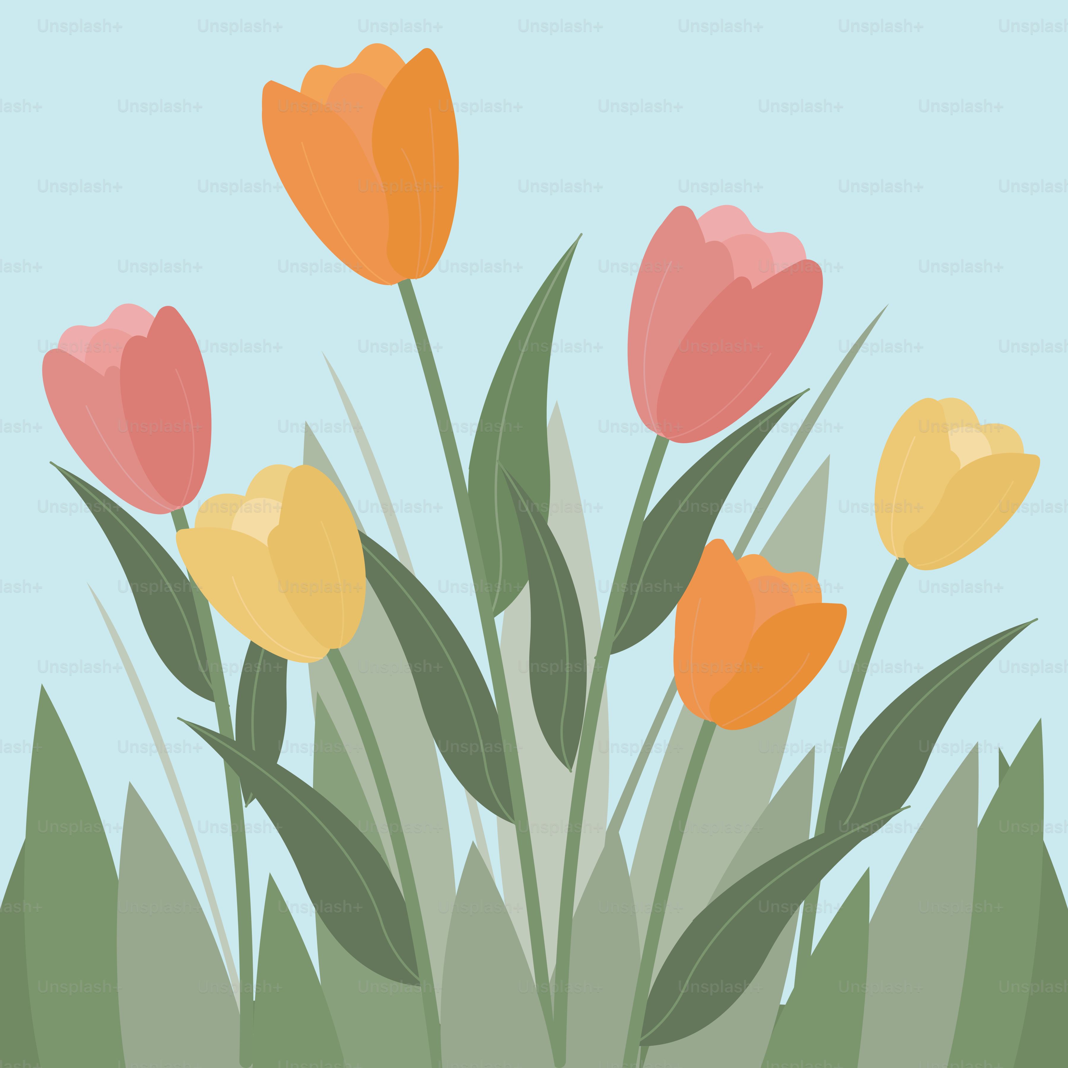 A bunch of flowers that are in the grass