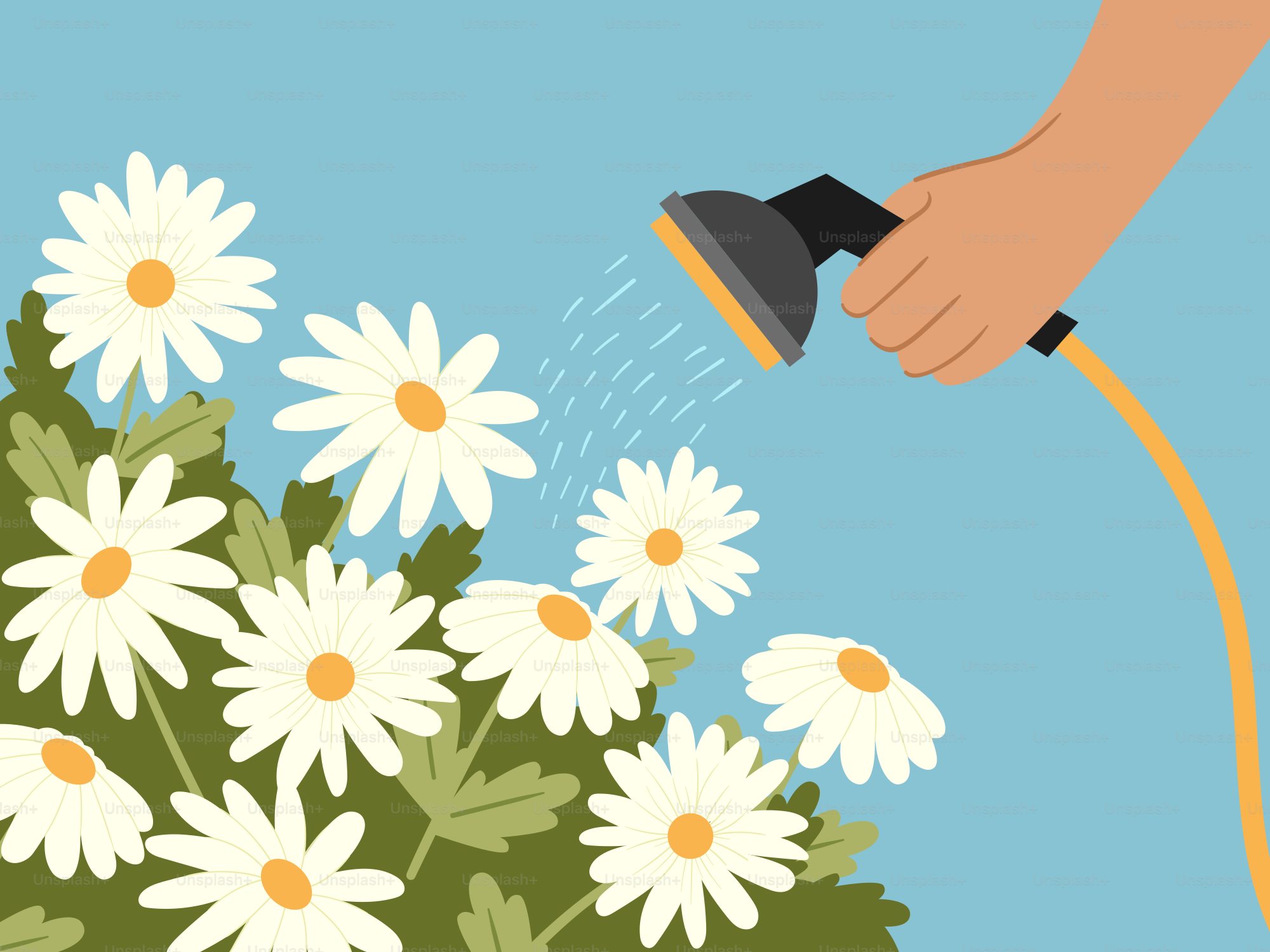 Una persona está regando flores con una manguera