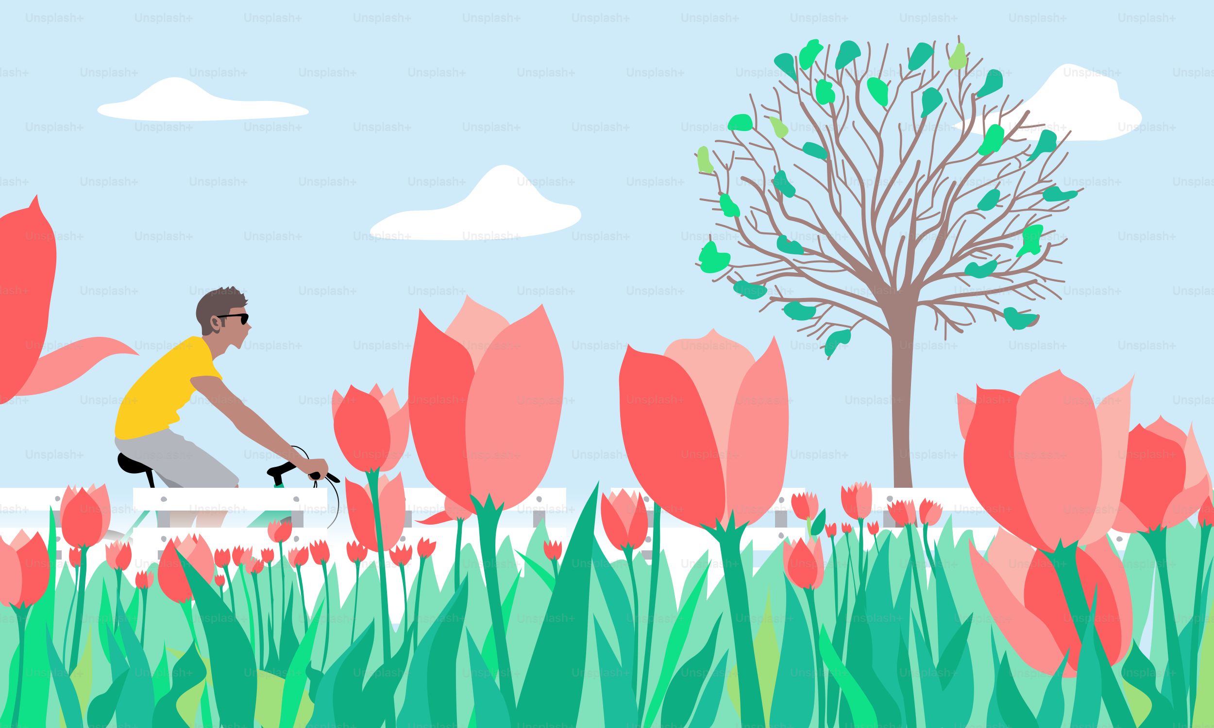 Un hombre montando en bicicleta por un campo de flores