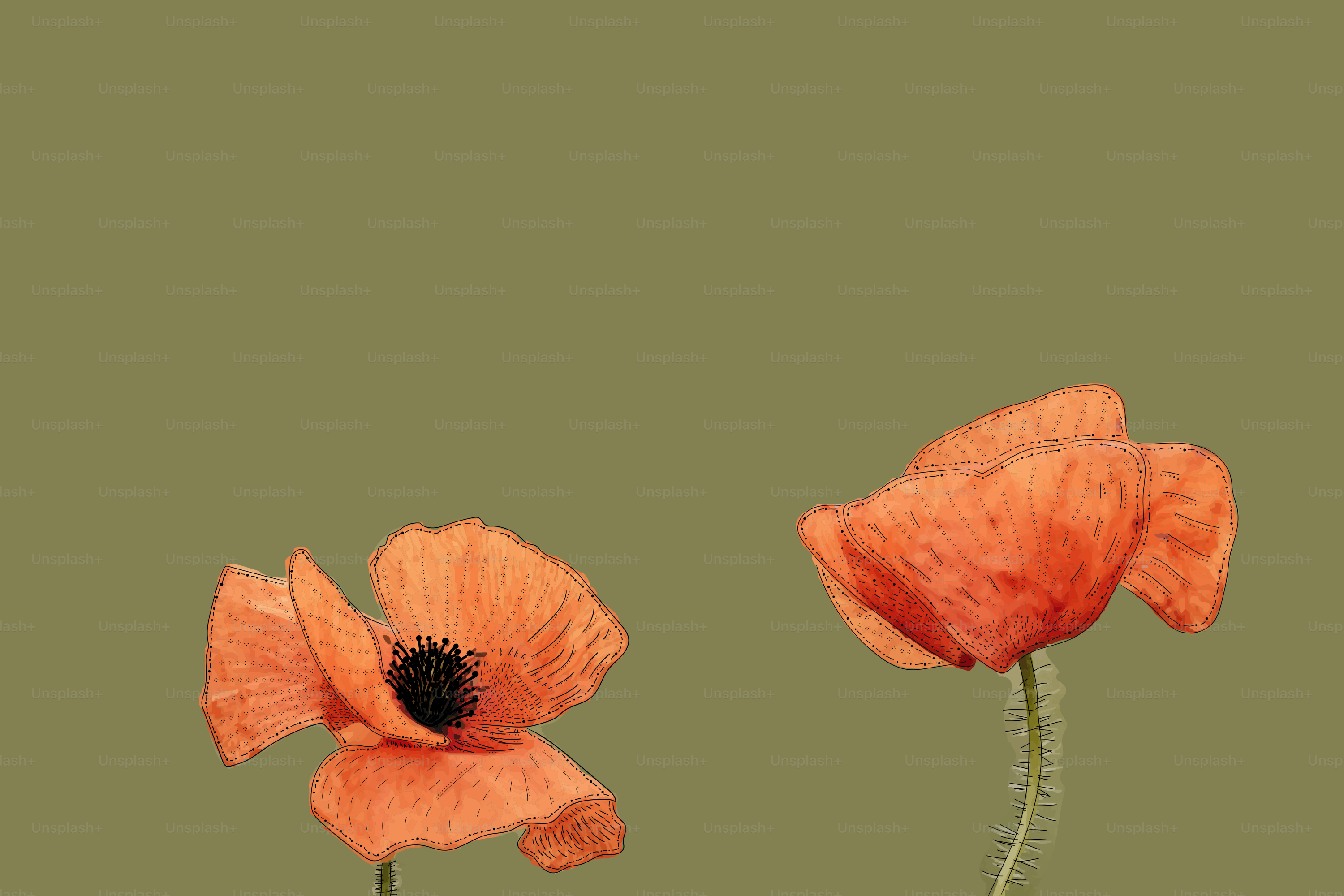 Deux fleurs orange sur fond vert