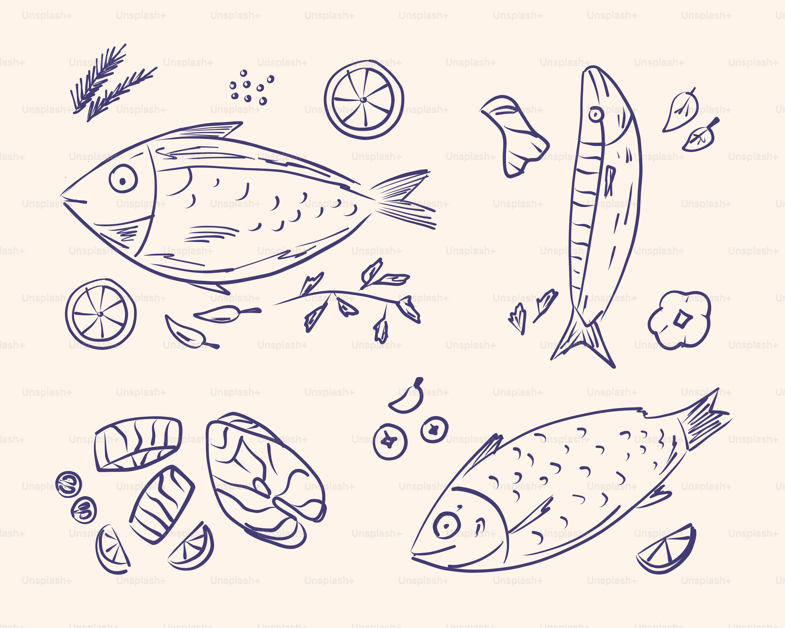 Various sketched images of fish and ingredients are shown.