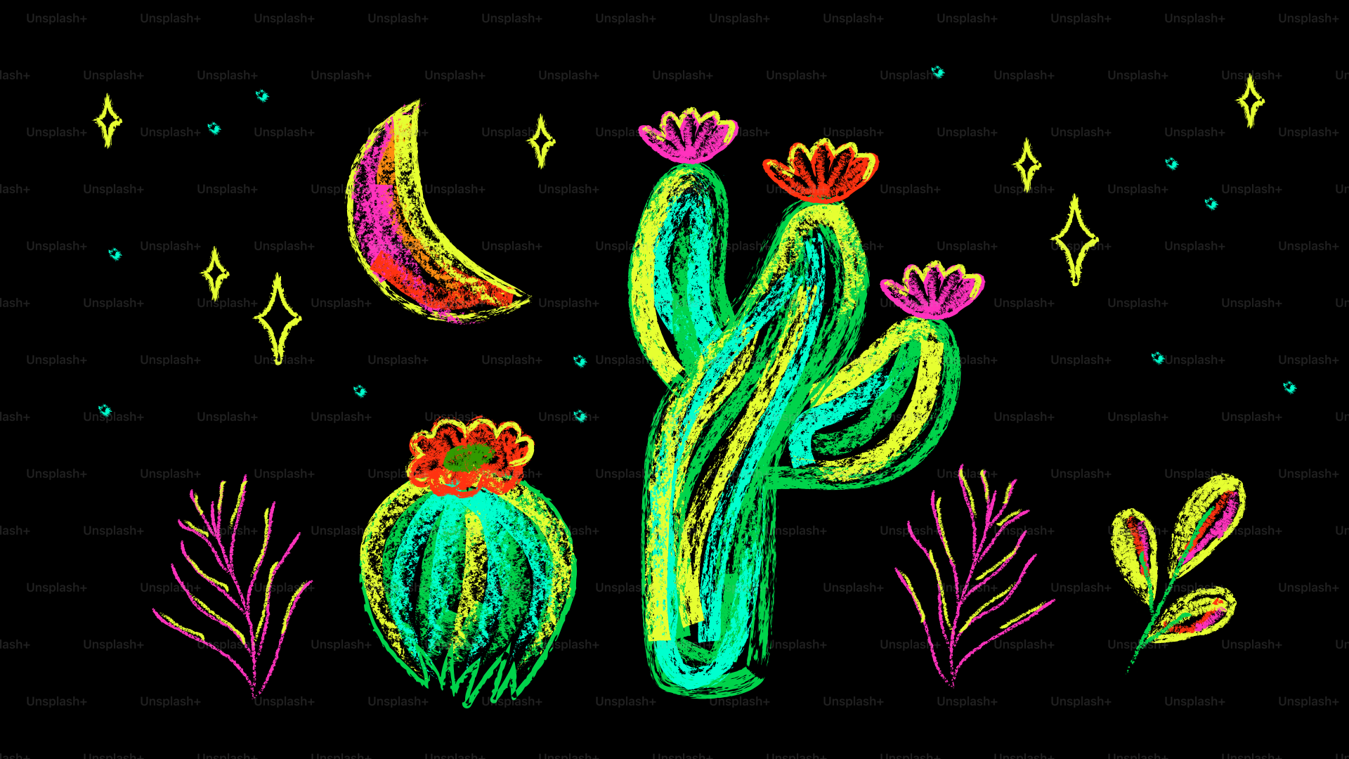 Cacti and a crescent moon under starry skies.