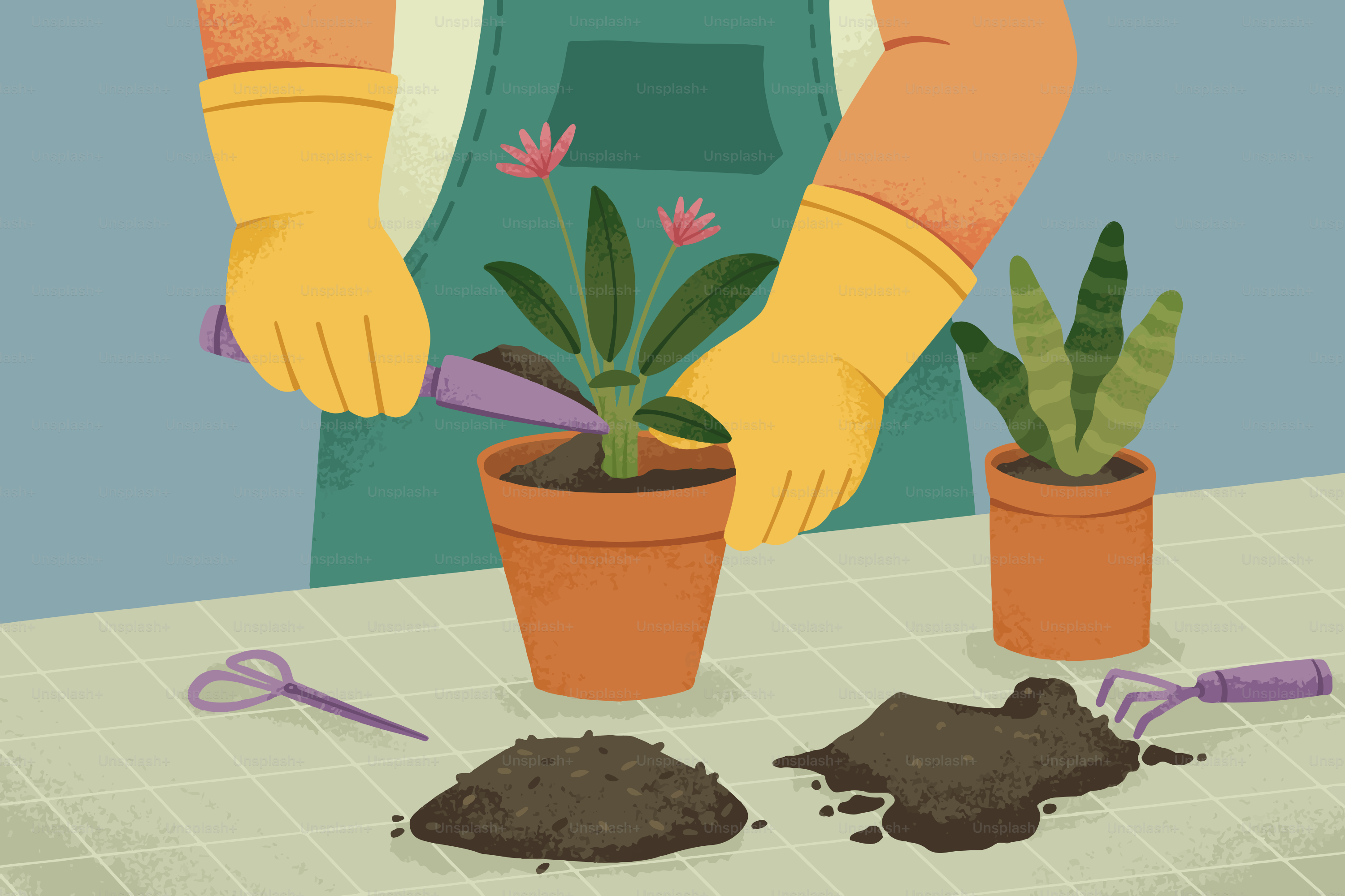 Gardener planting a plant in a pot.