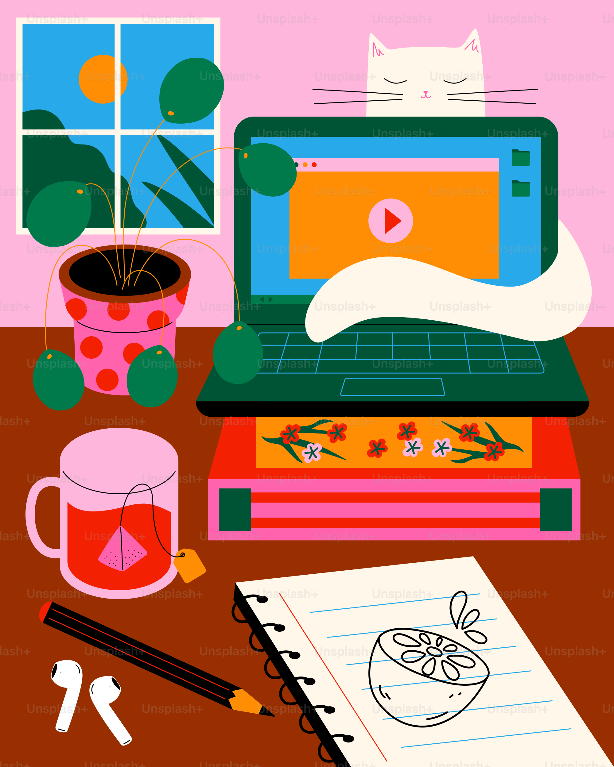 A cat watches a video while working at home.