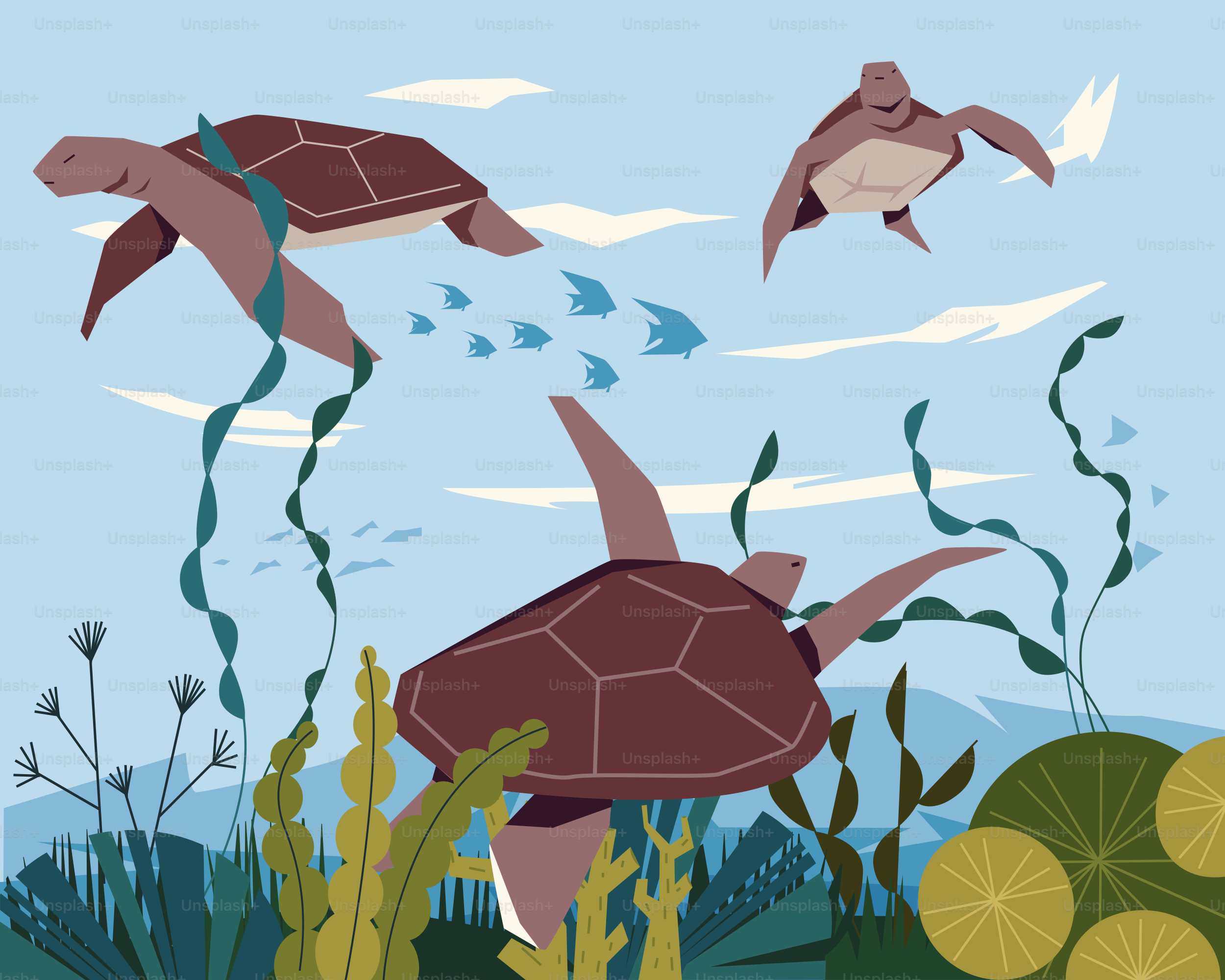Sea turtles swim underwater with fish.