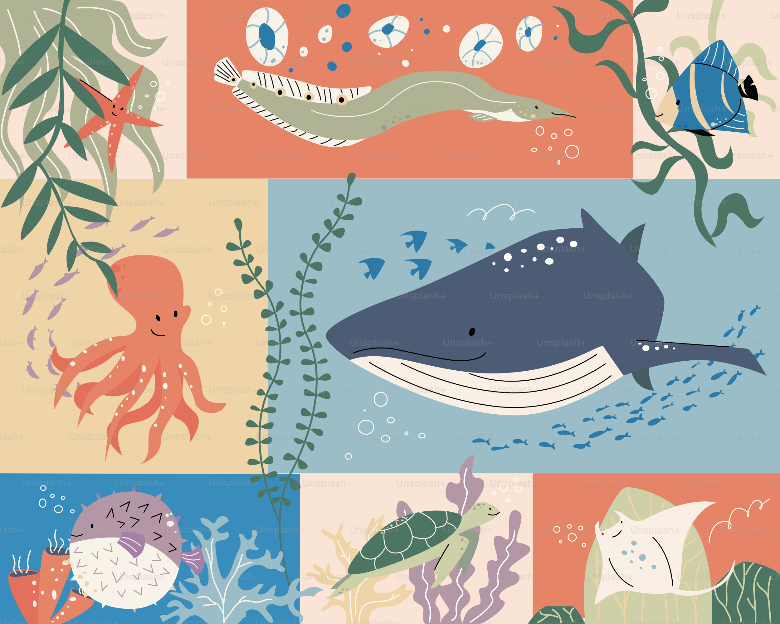 Ocean animals are depicted with artistic illustrations.