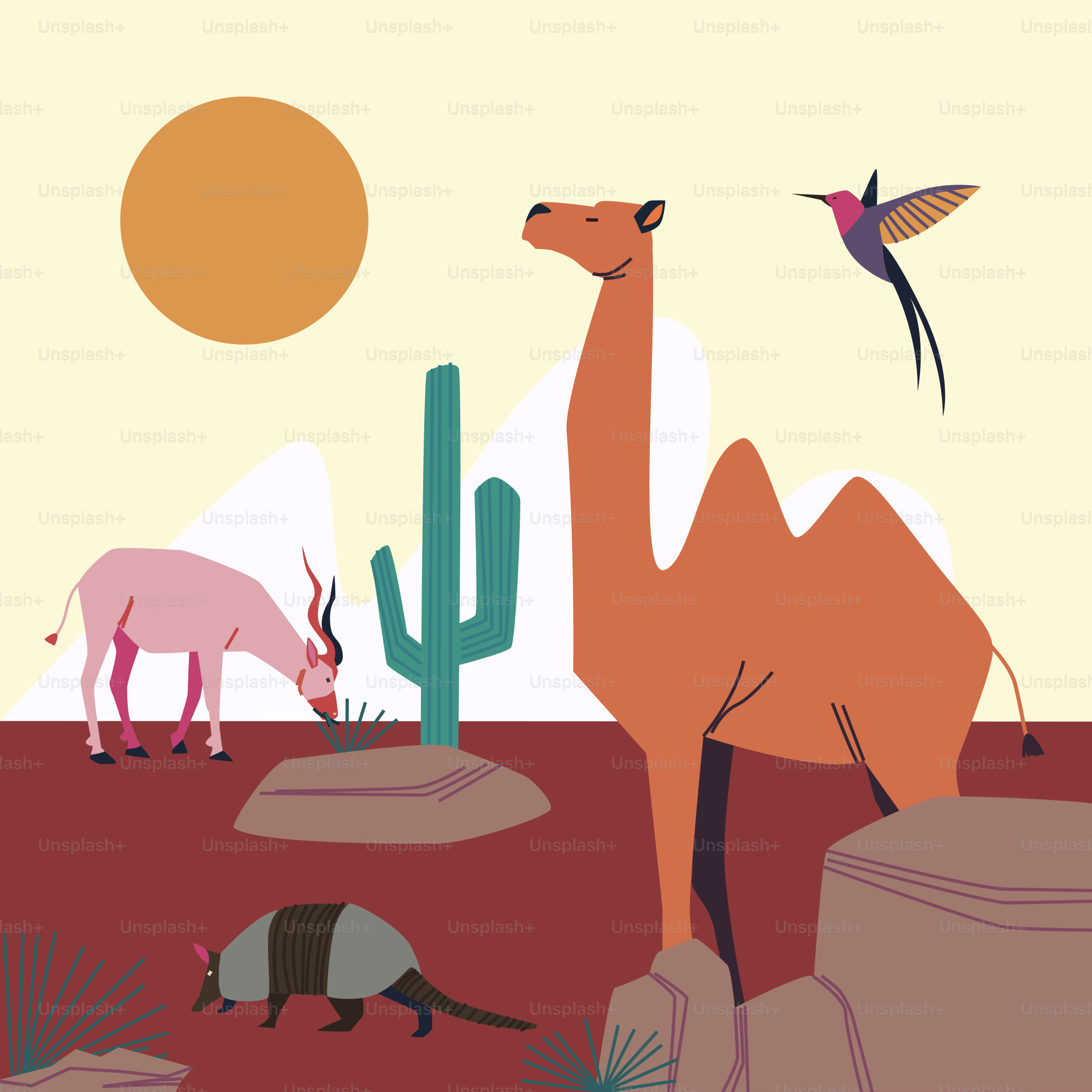 Animals in the desert.