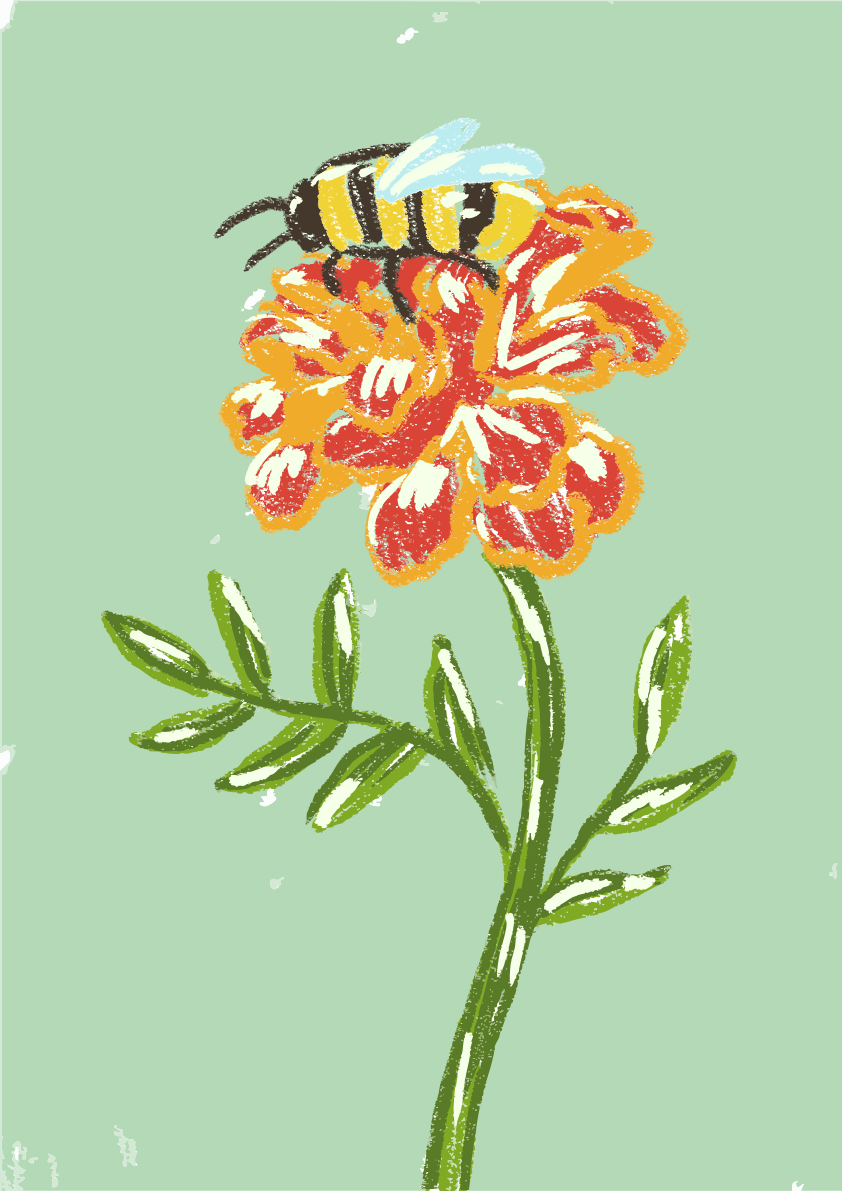 A bee collects pollen from a bright orange flower.