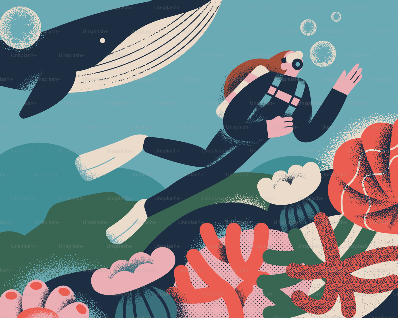 Un buzo nada bajo el agua cerca de una ballena y un coral.