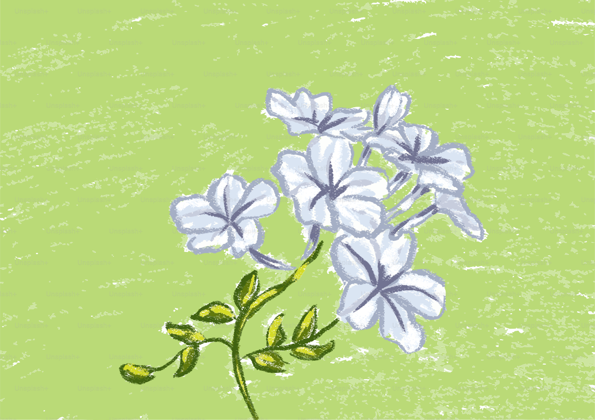 Flores blancas sobre fondo verde.