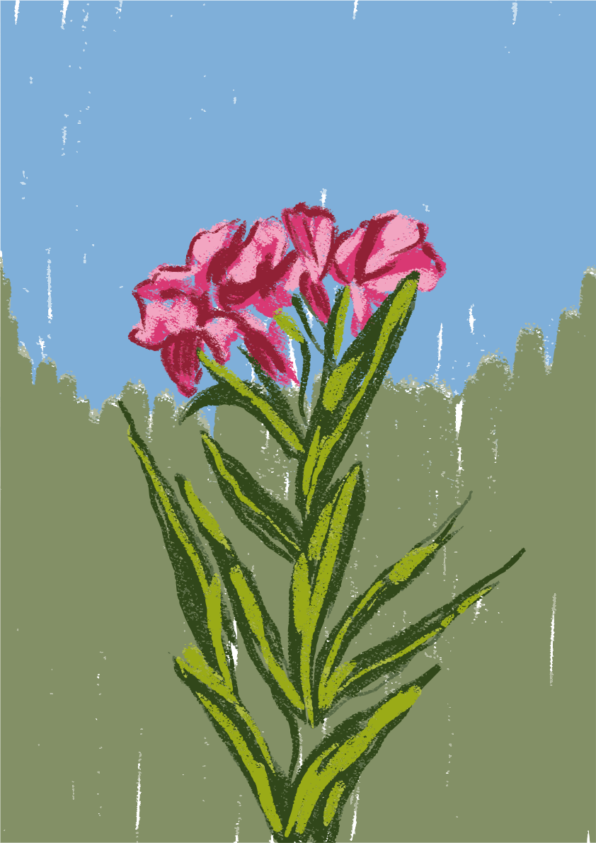 Pink flowers bloom against a green backdrop.