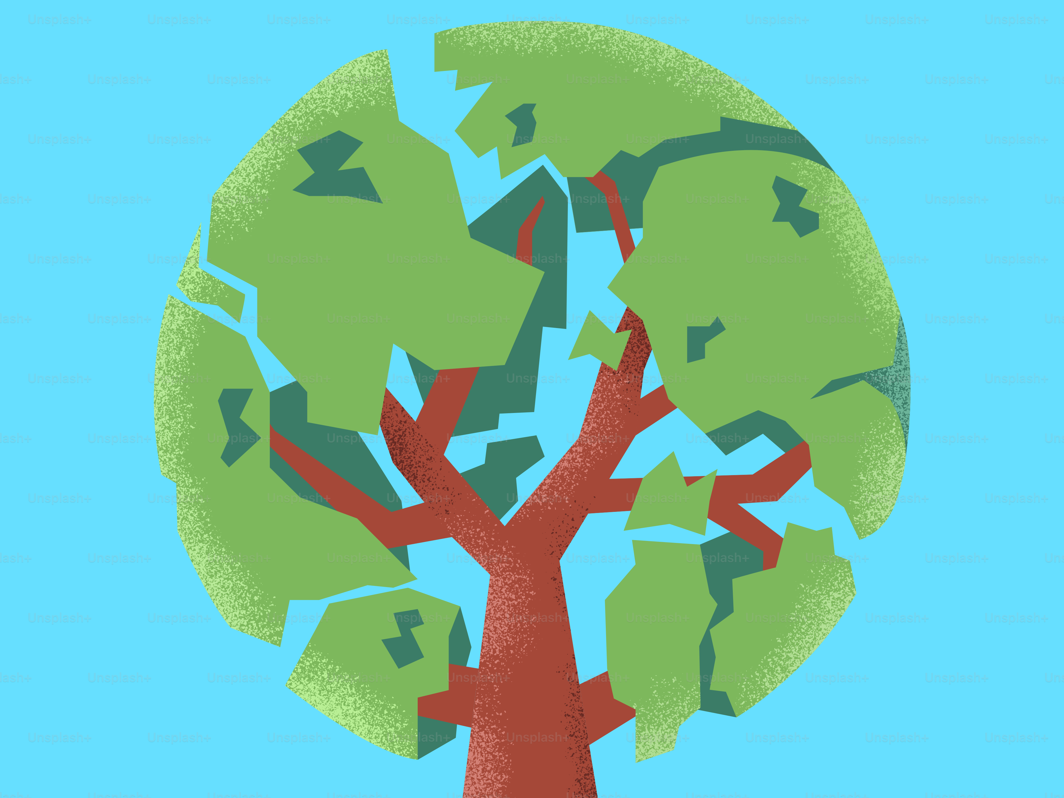 Les feuilles d’un arbre fracturé ressortent.