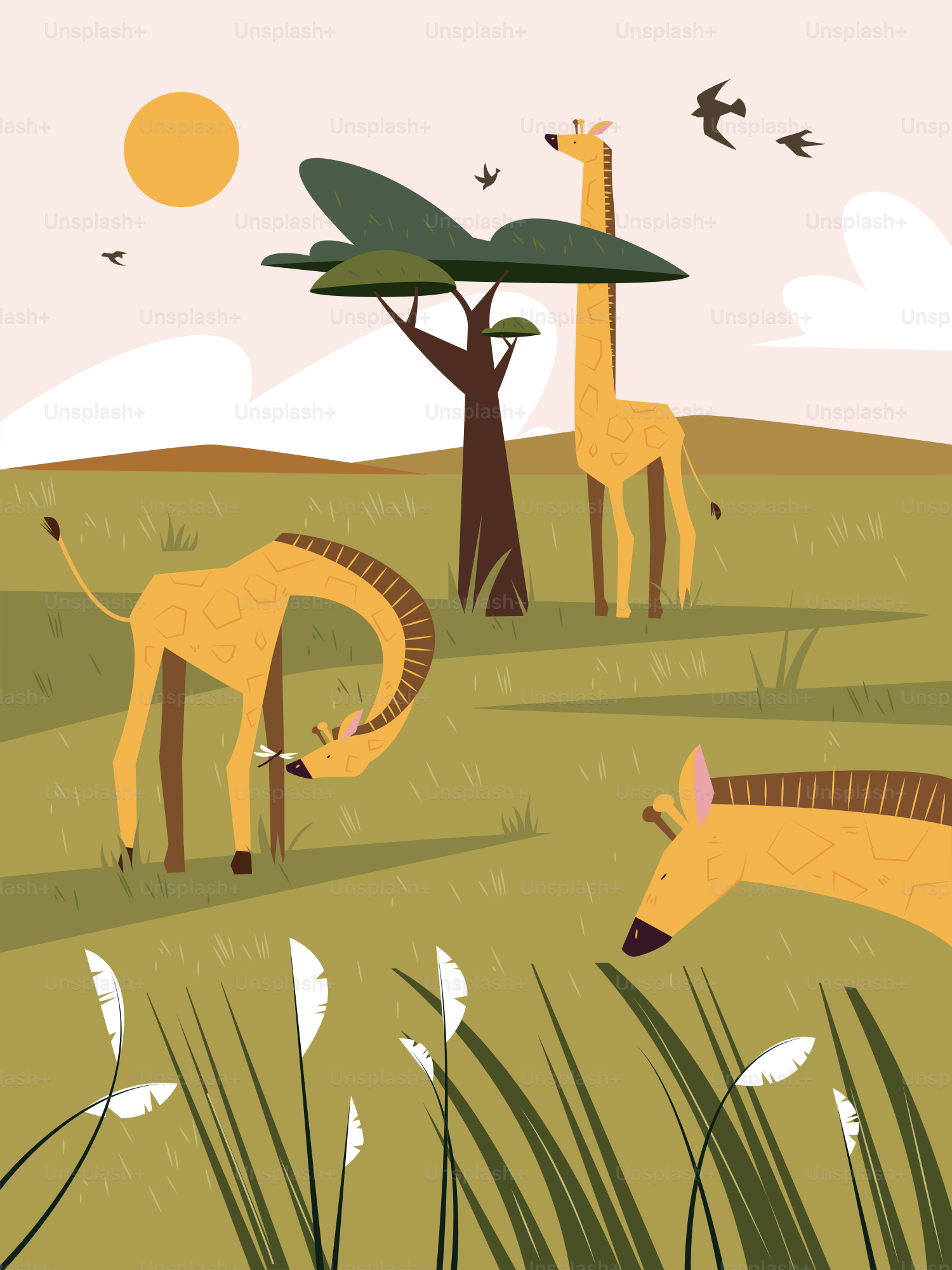 Giraffes graze in the african savanna.