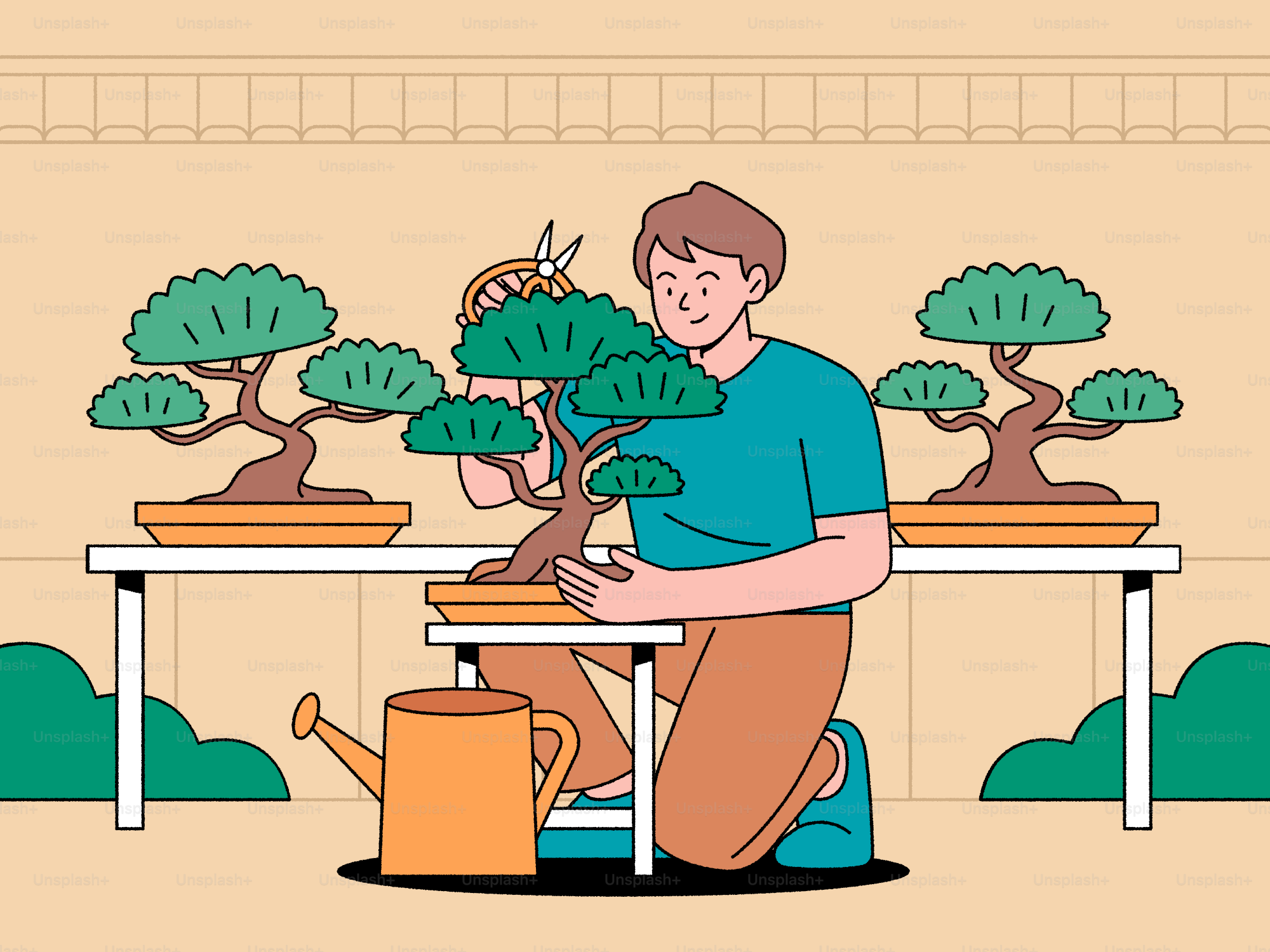 L’homme taille les bonsaïs avec des ciseaux.