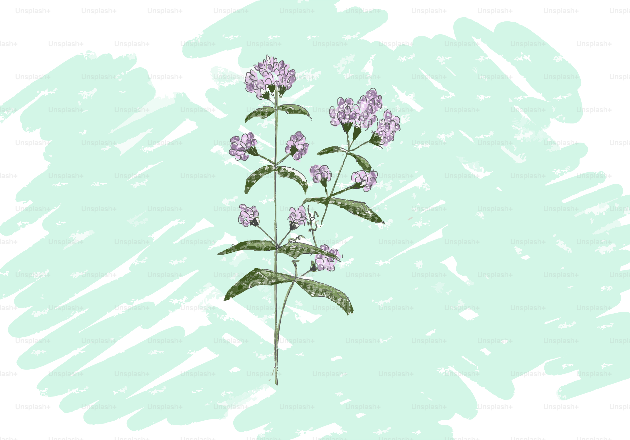 Here is a possible caption: beautiful purple flowers depicted in a drawing.