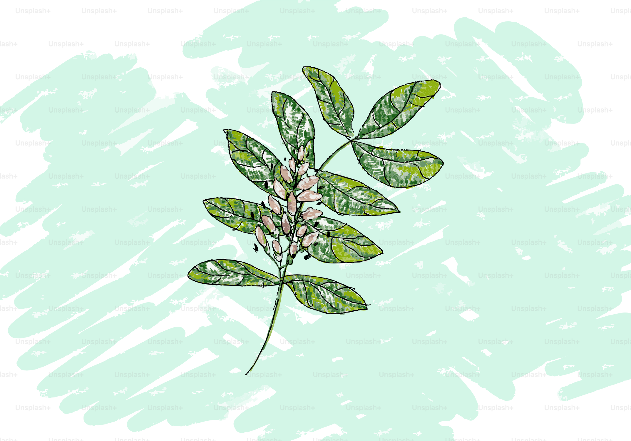 A green leaf with a flower in the middle.