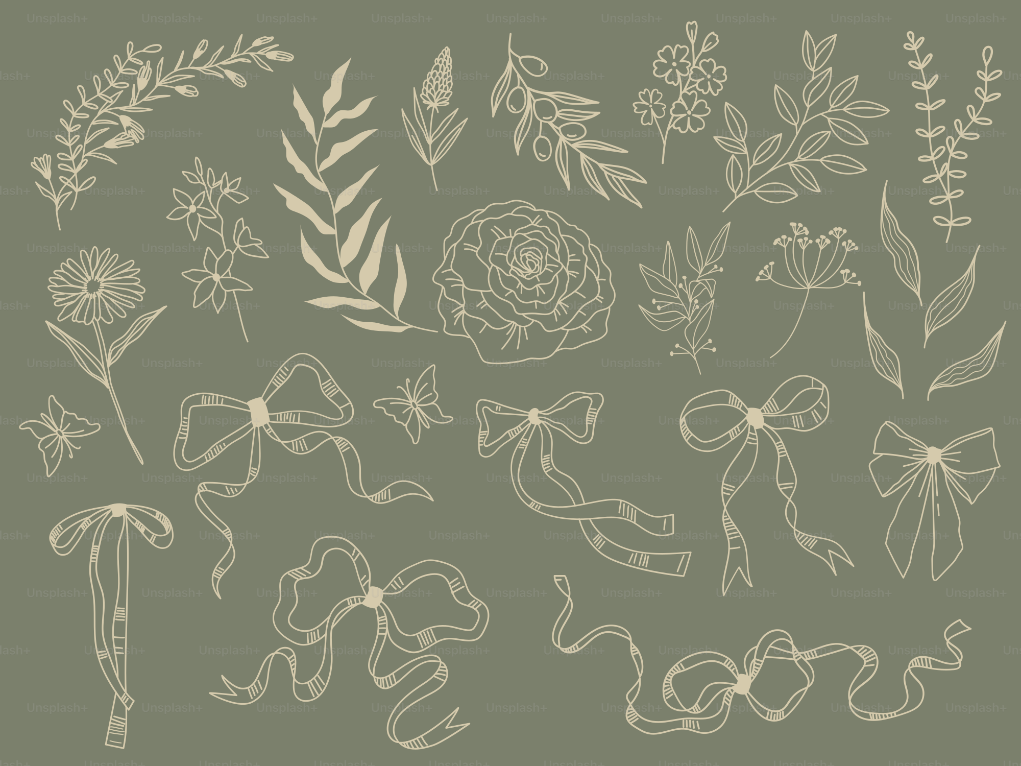 Floral drawings and bows against a green backdrop.