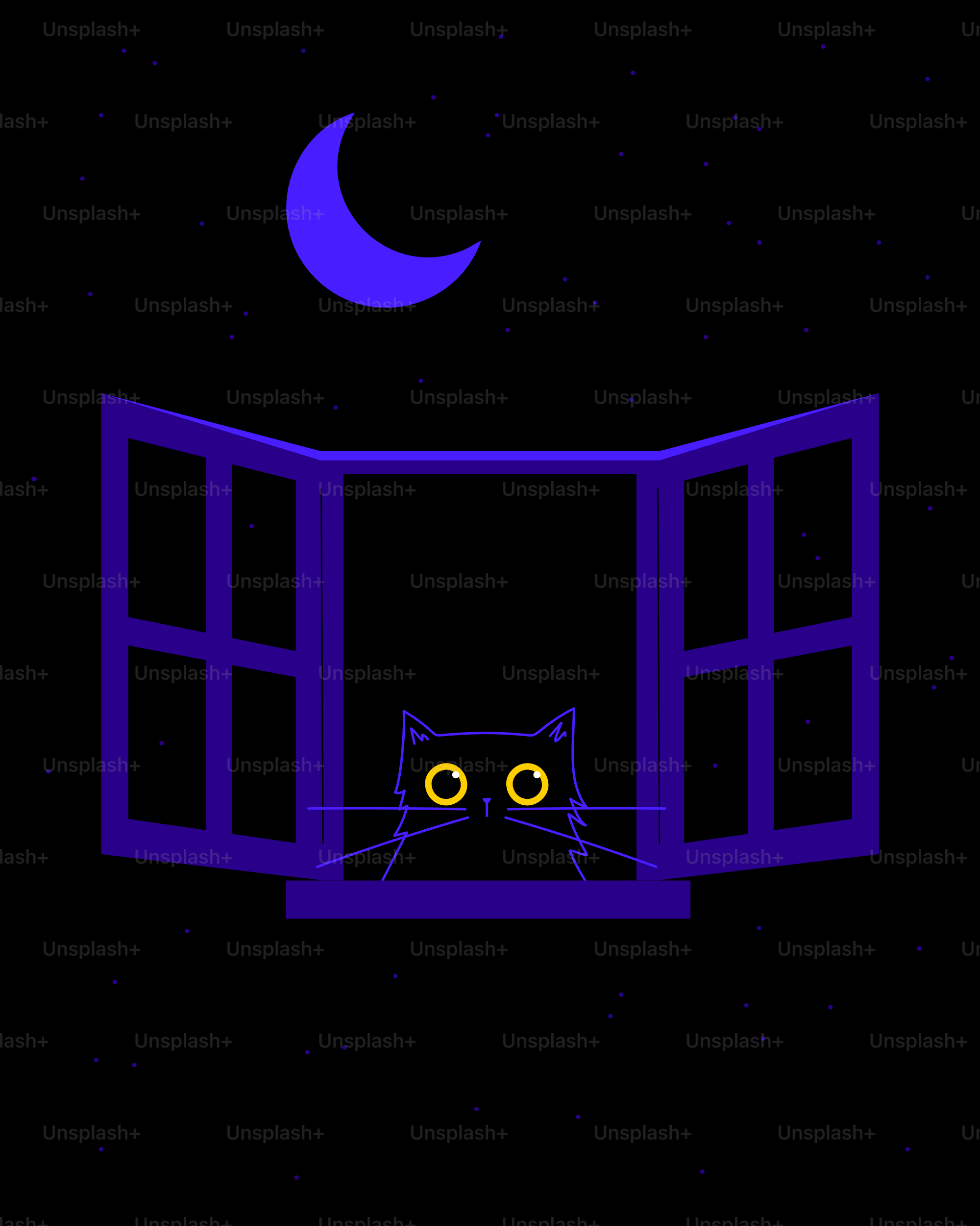 A black cat looks out of a window at night.