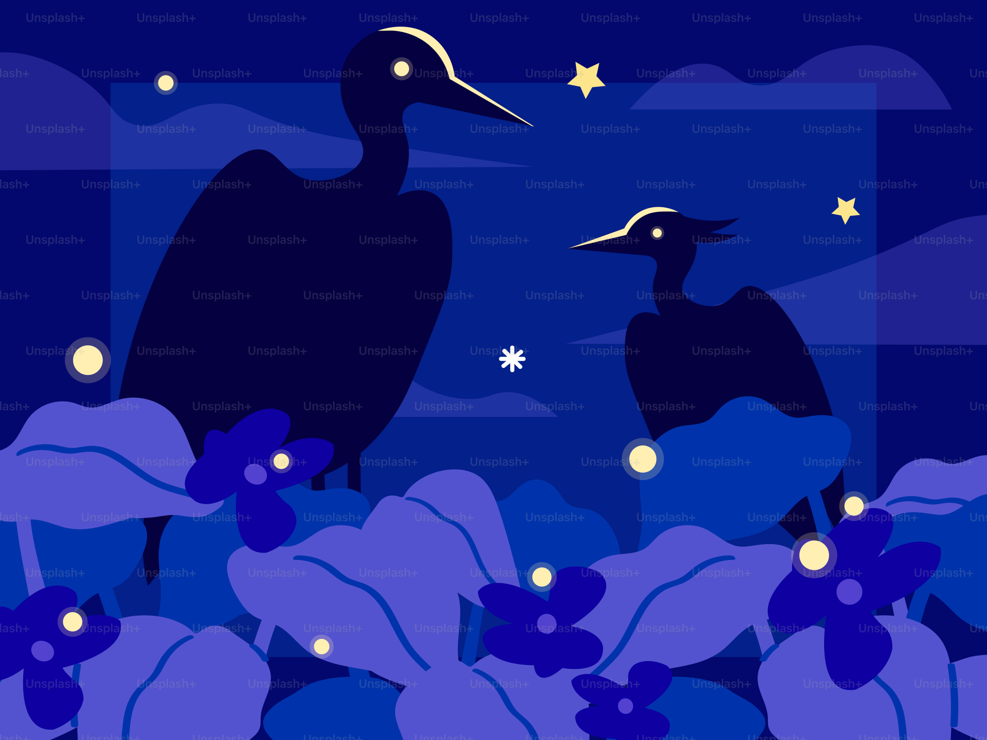 2羽の鳥と星が暗い夜にいます。