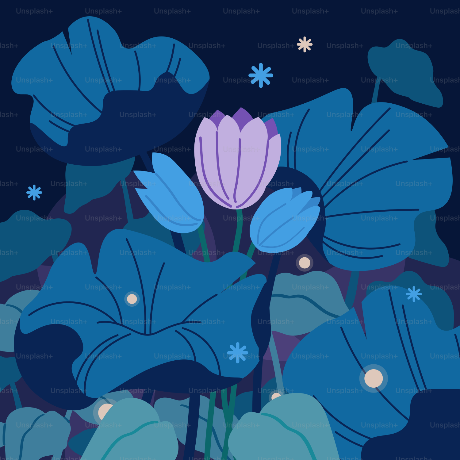 青い蓮の花が星空の下で咲く。