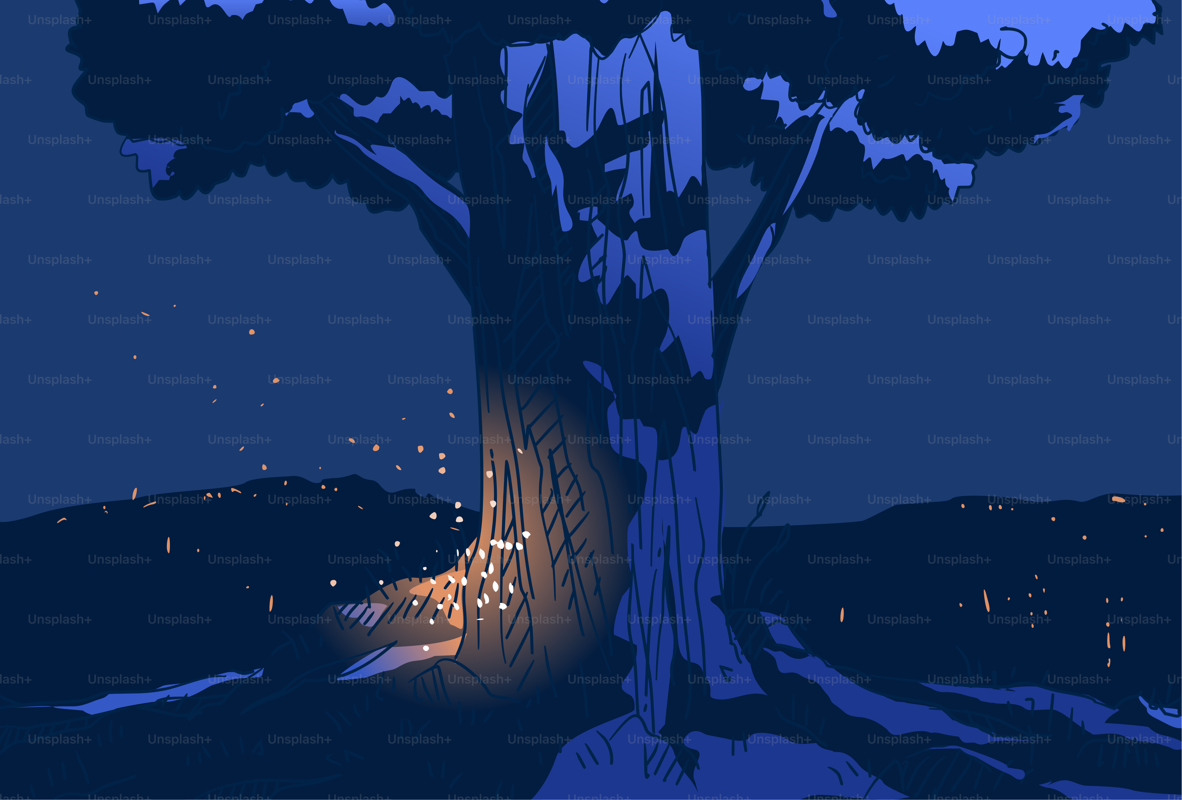 A night scene of a large tree with lights.