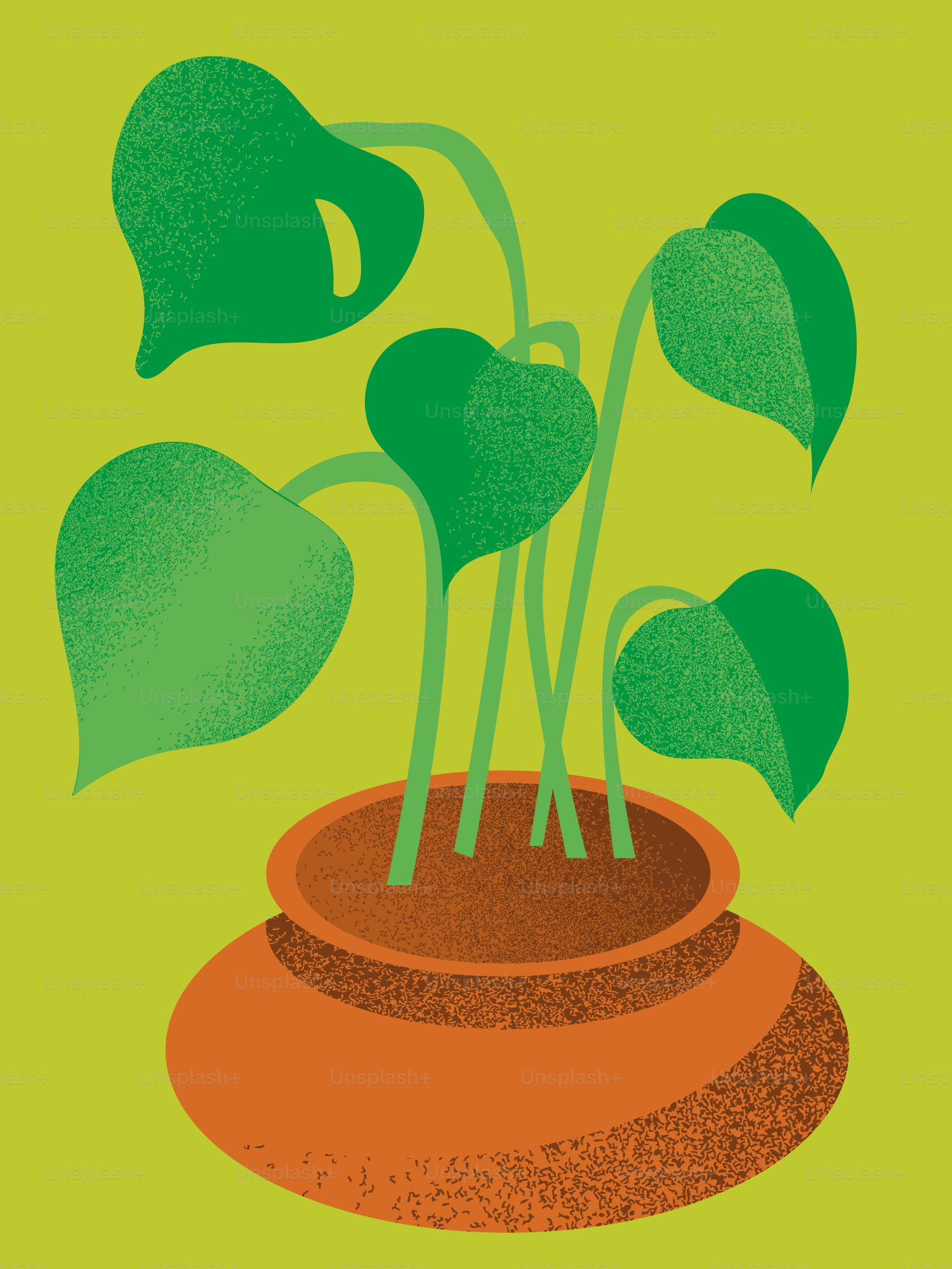 大きな緑の葉を持つ鉢植えの植物。