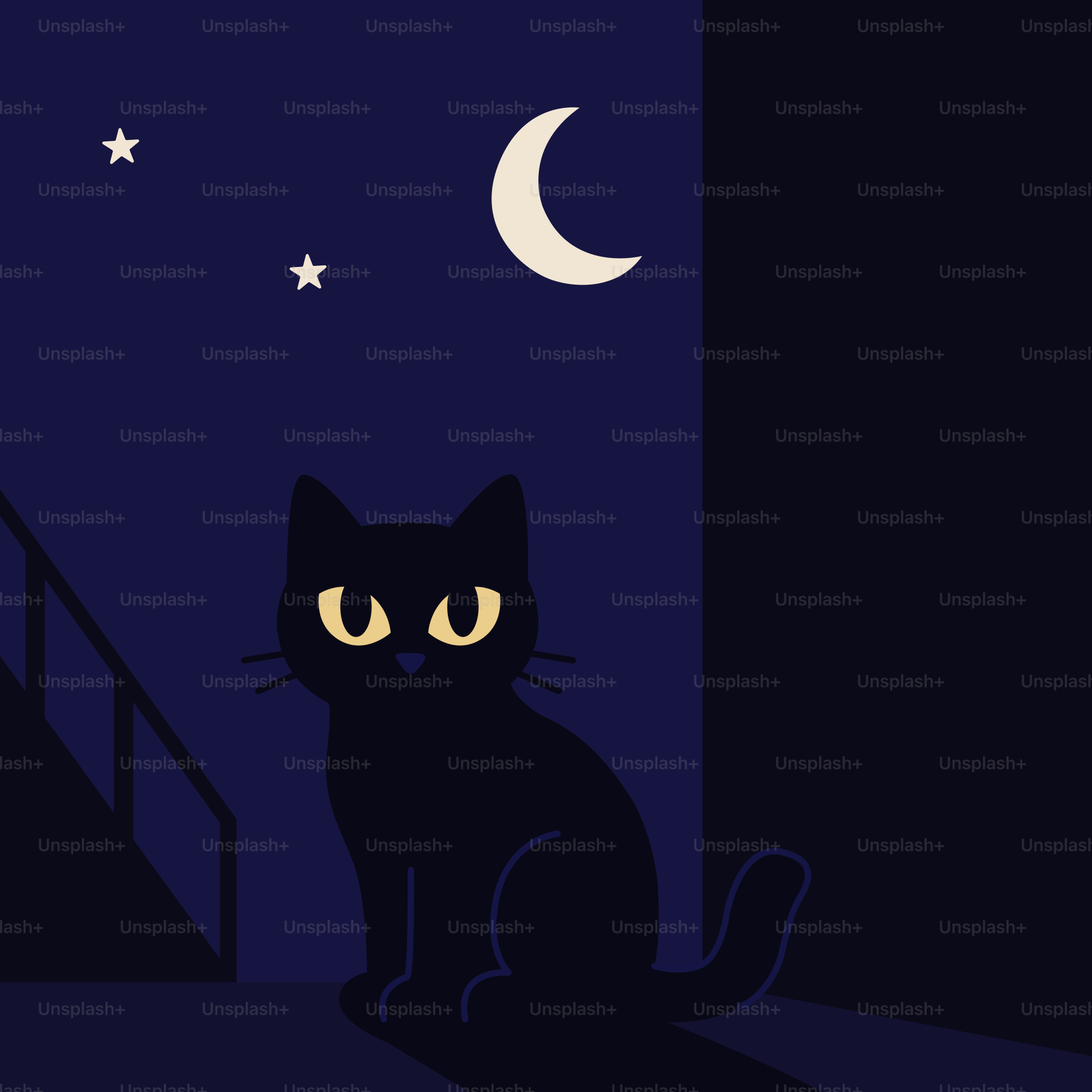 A black cat sits under the moonlit sky.
