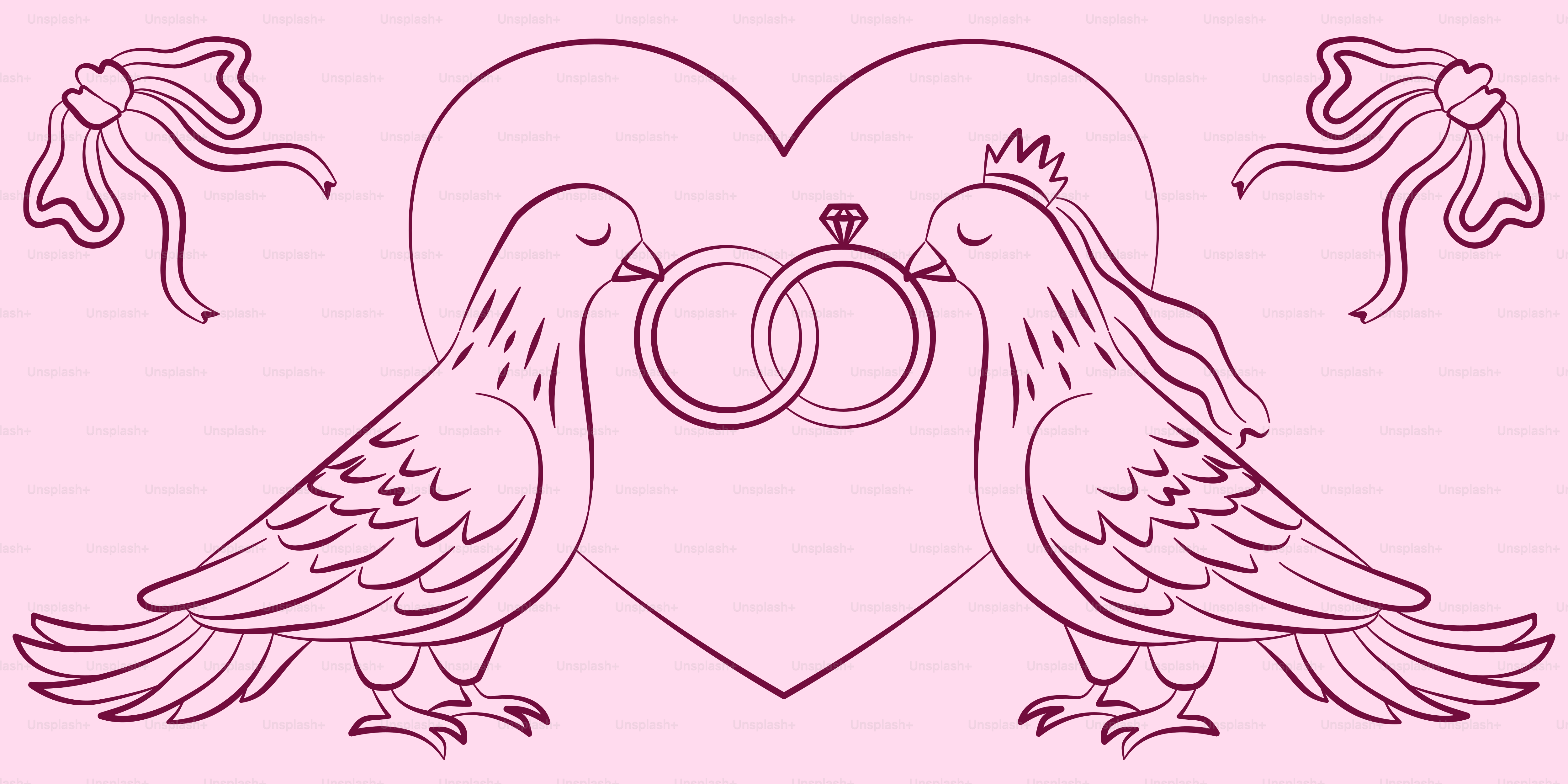 Duas pombas segurando anéis, simbolizando o casamento. vetor – Imagem sobre  Amor na Unsplash, image size:3000x1500